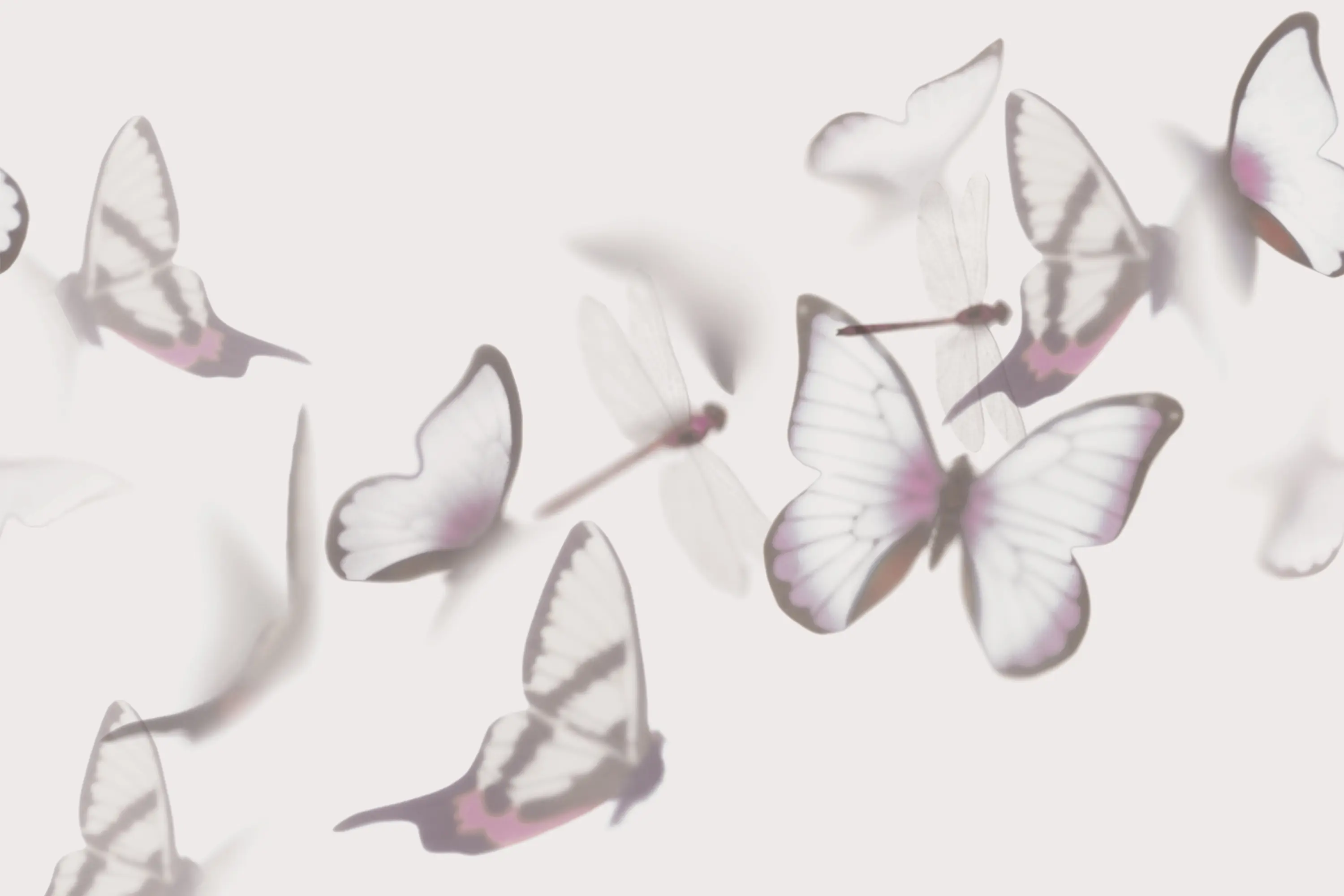 GLAMORA - Flutterby