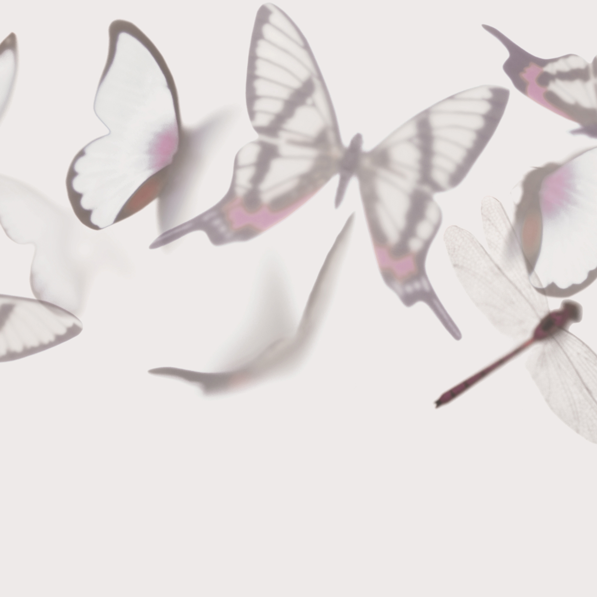 Flutterby