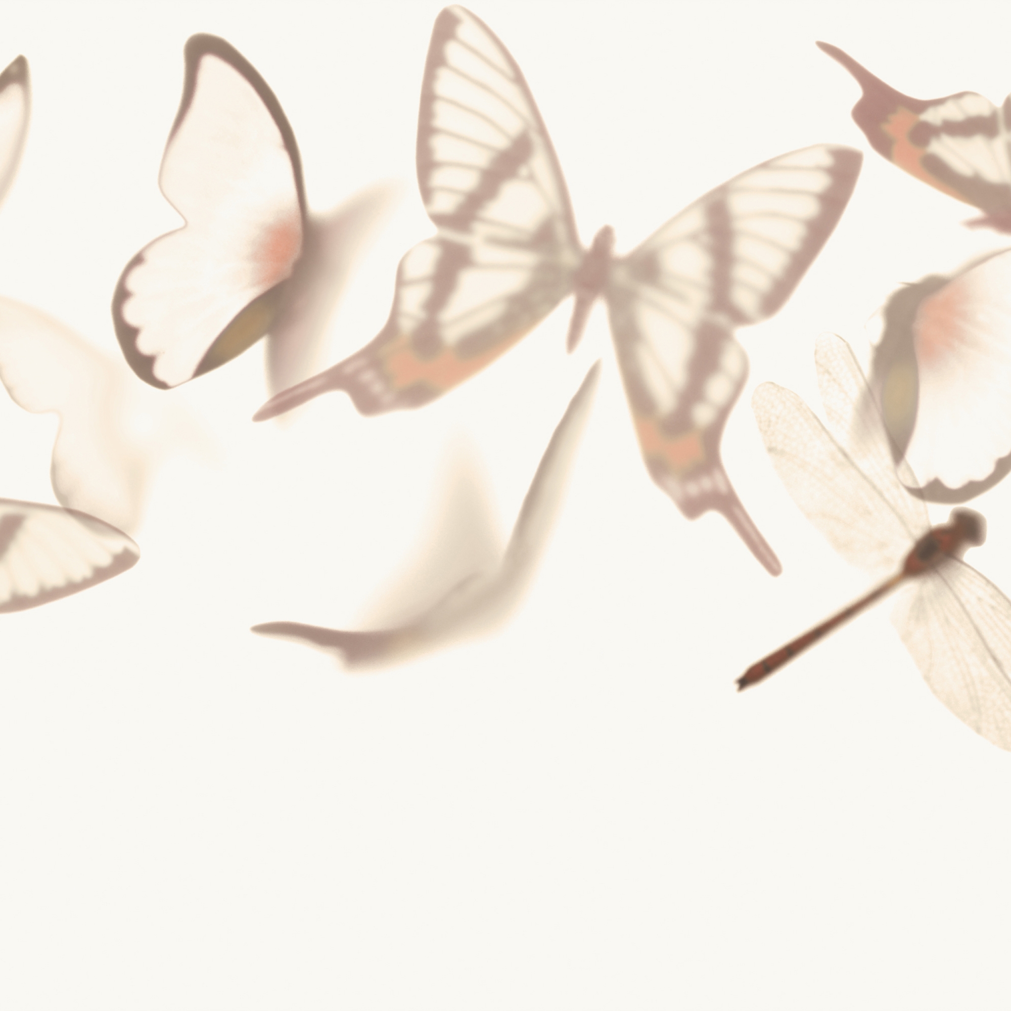 Flutterby