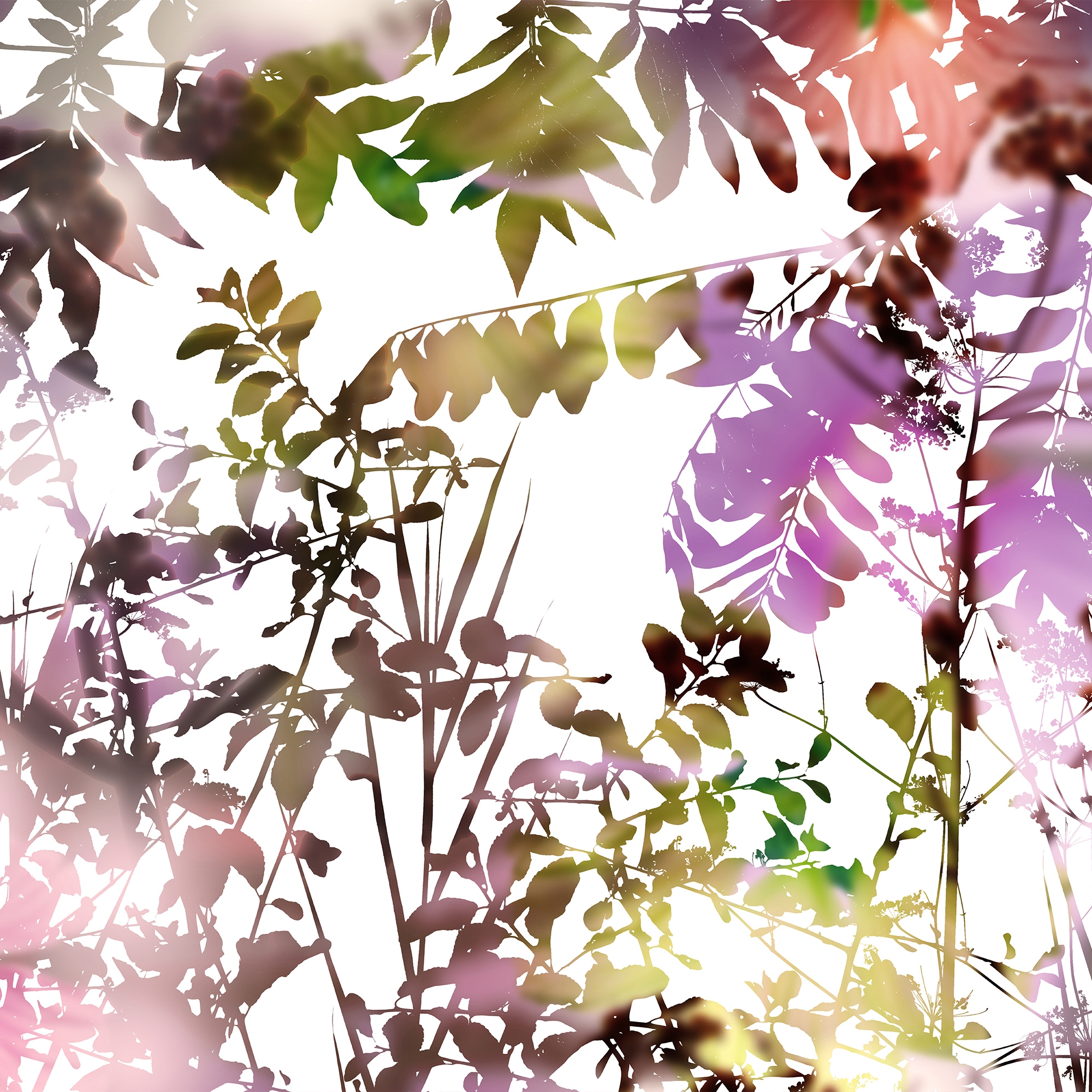 Produkt Ghost Garden des Herstellers GLAMORA anzeigen