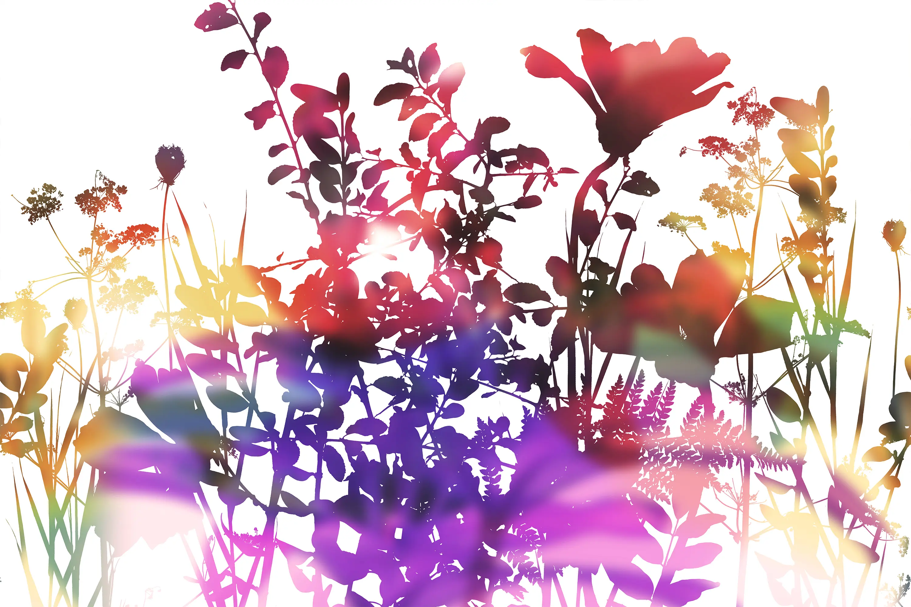 GLAMORA - Ghost Garden