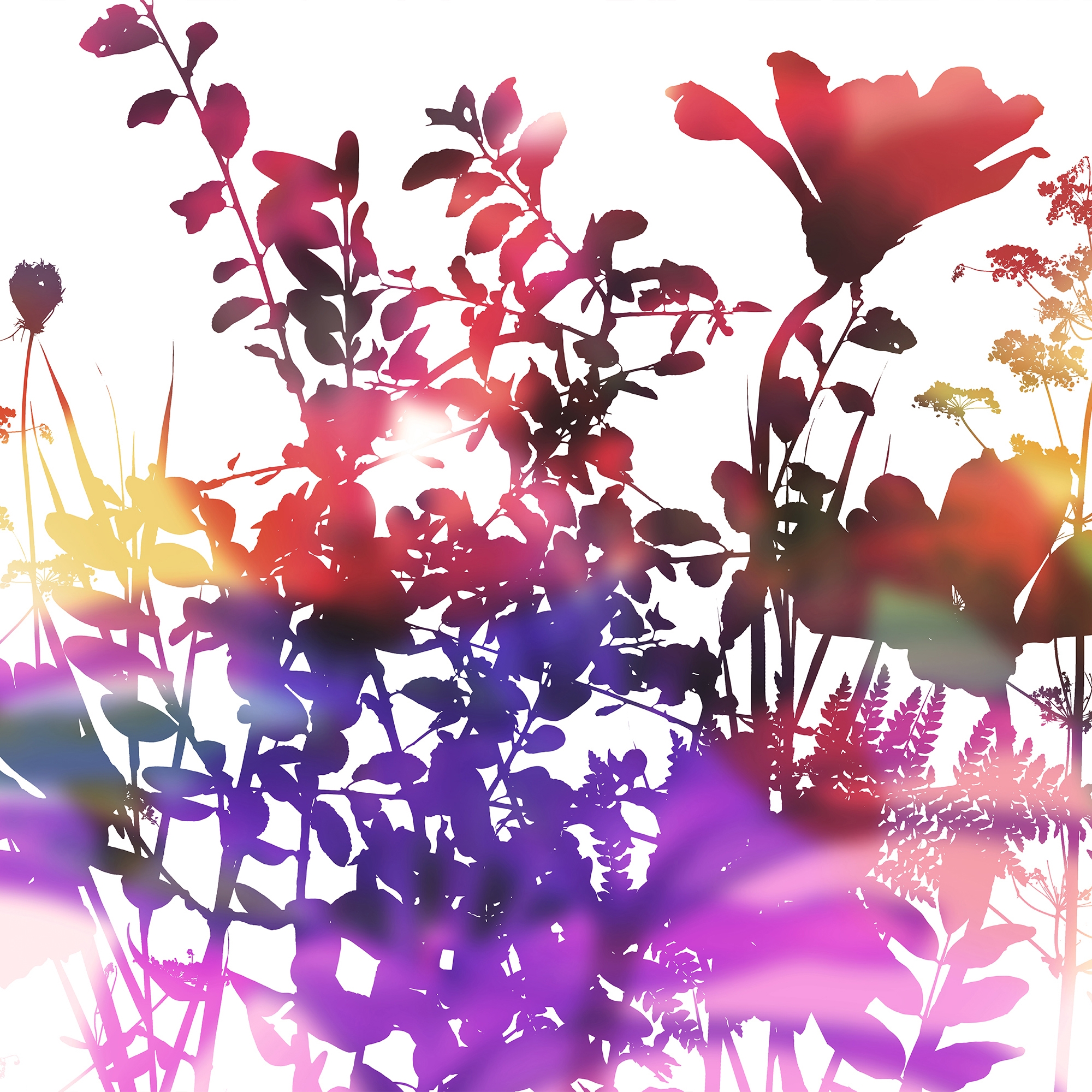 Display product Ghost Garden from manufacturer GLAMORA