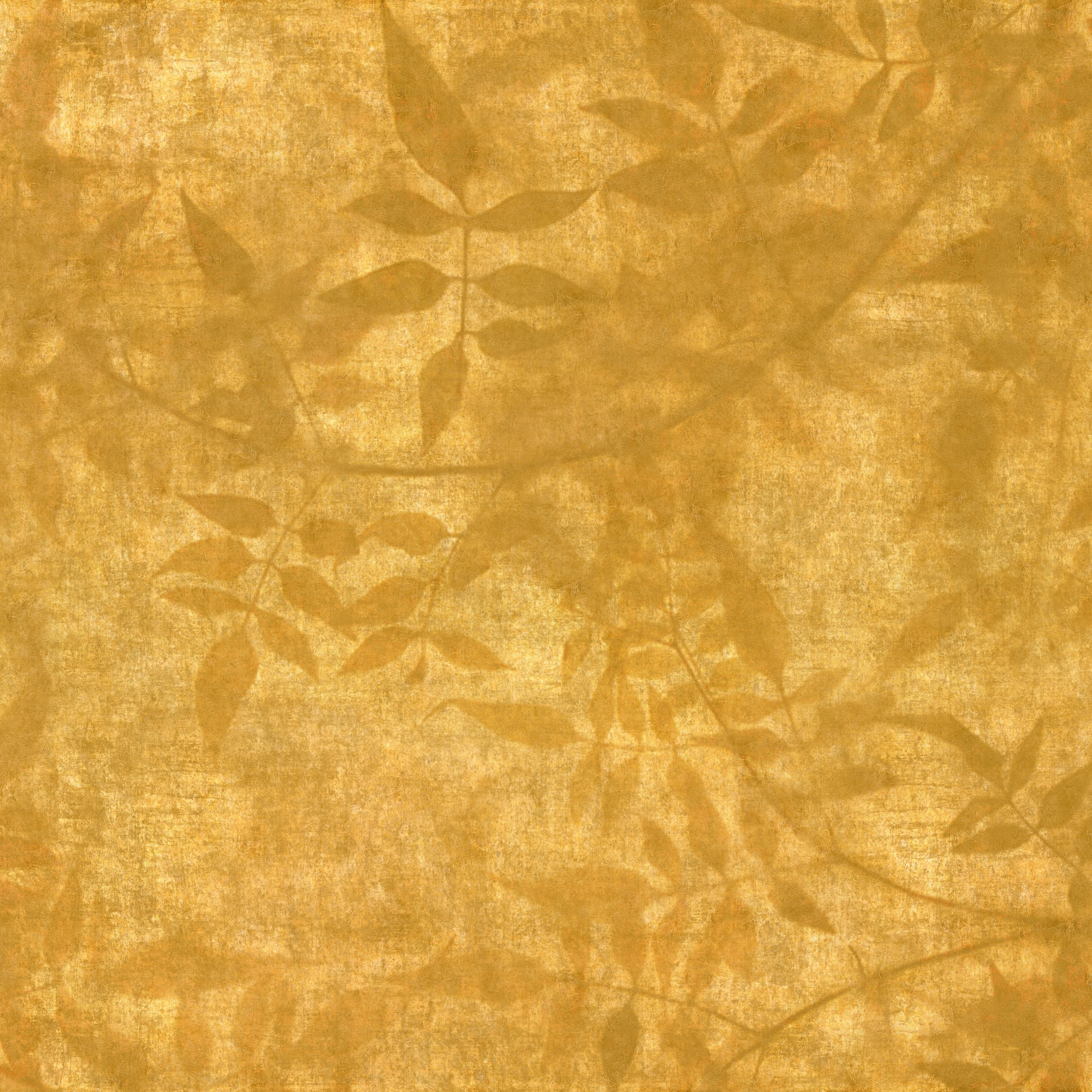 Midas