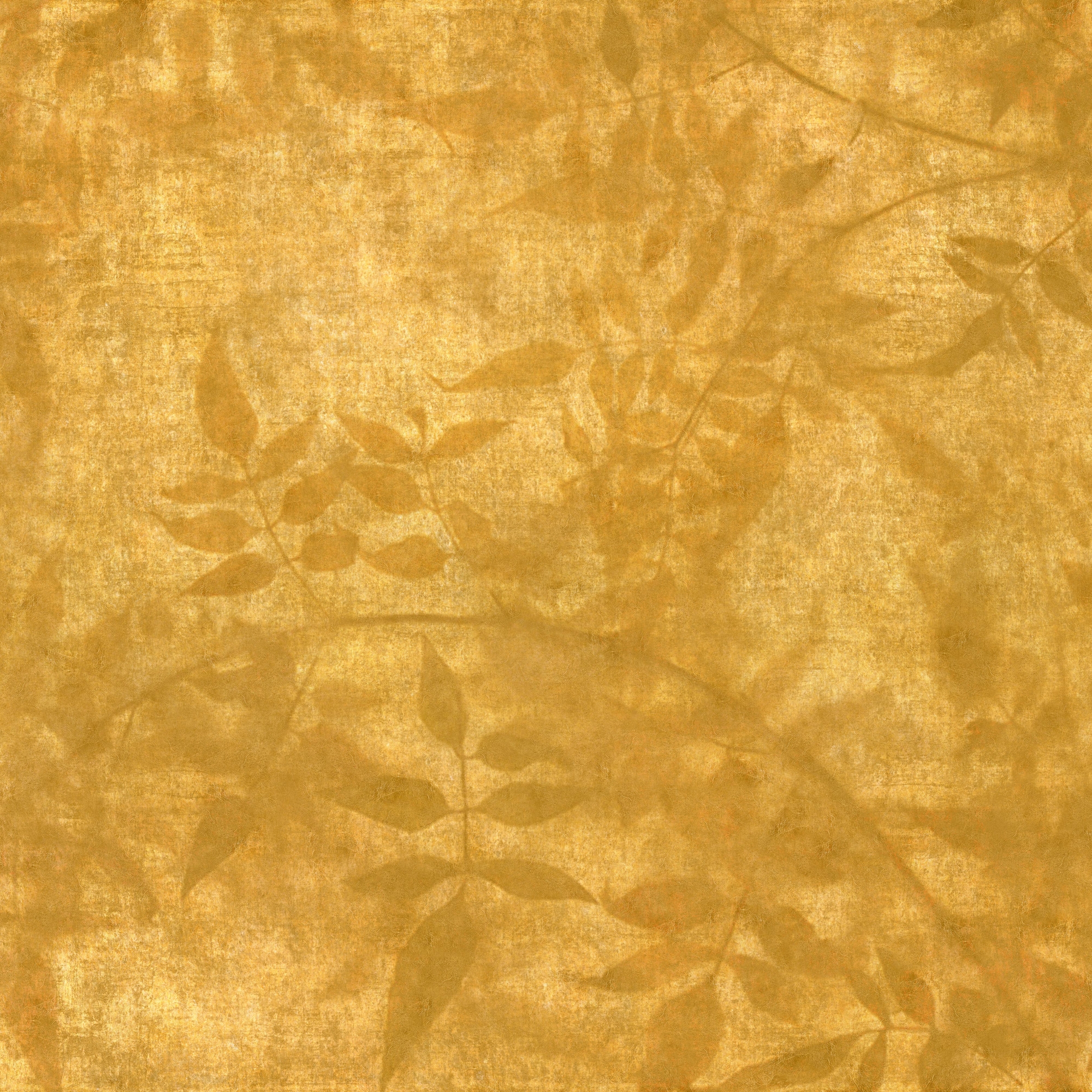 Midas