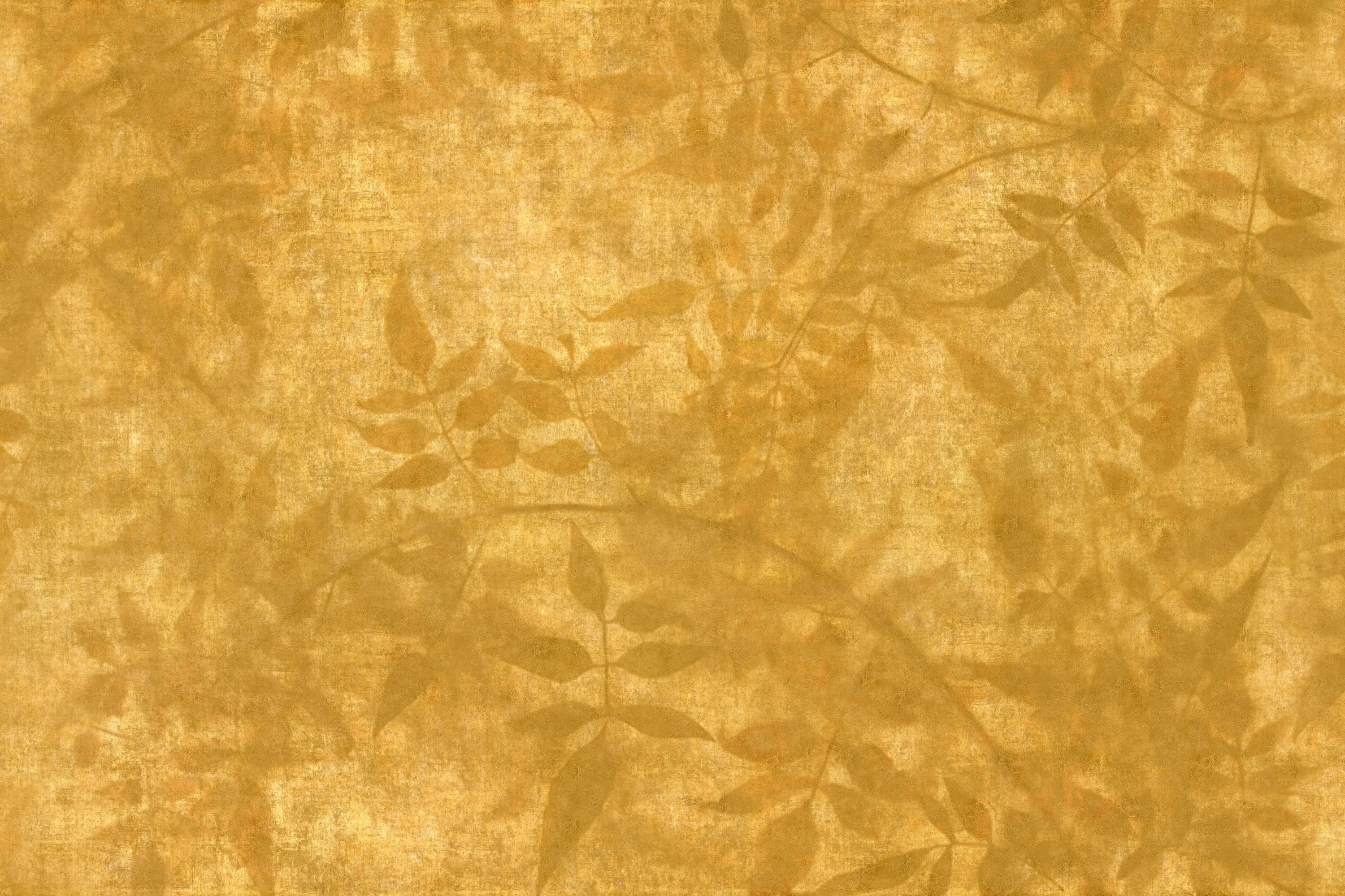 GLAMORA - Midas