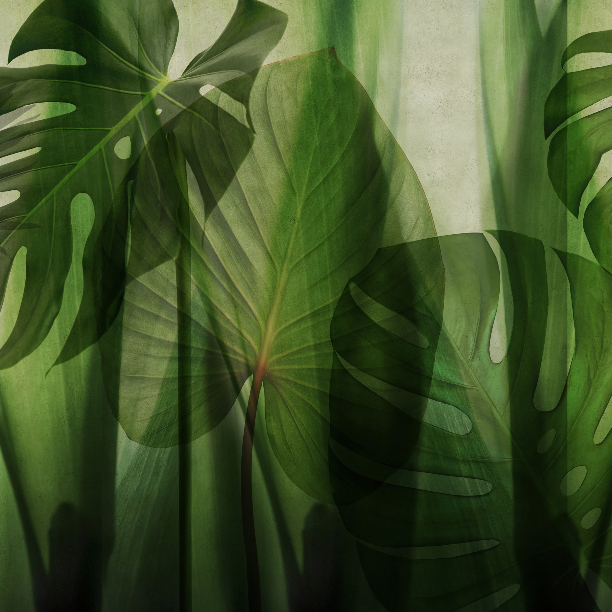 Mostrar el producto Equatorial Jungle del fabricante GLAMORA