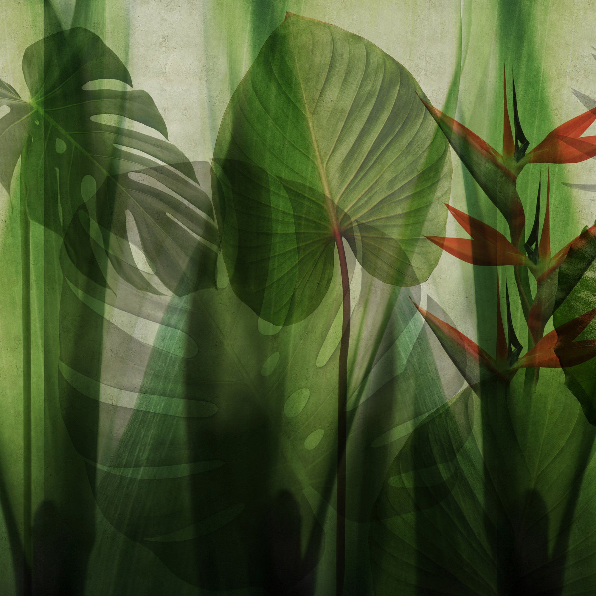 Mostrar el producto Equatorial Jungle del fabricante GLAMORA