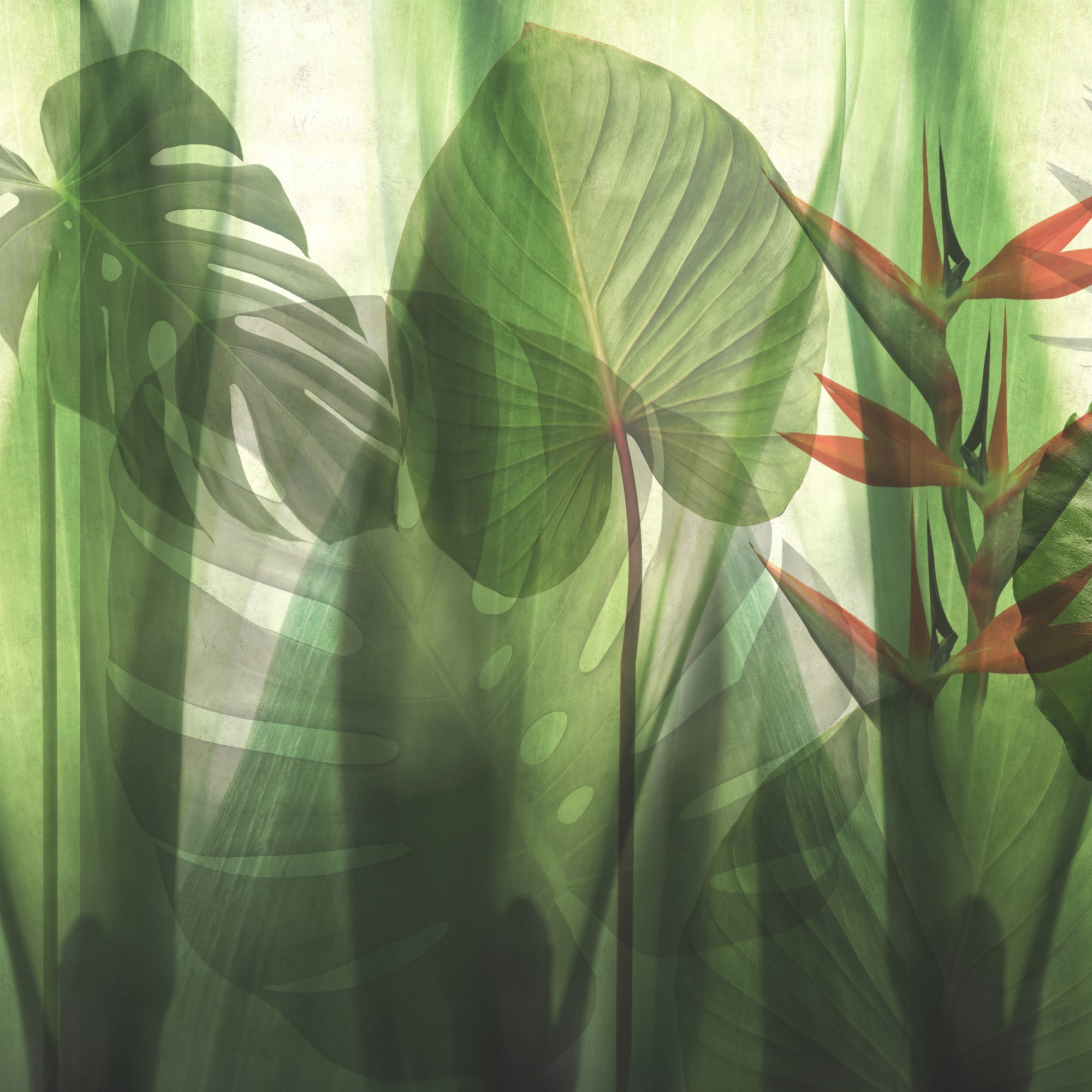 Equatorial Jungle