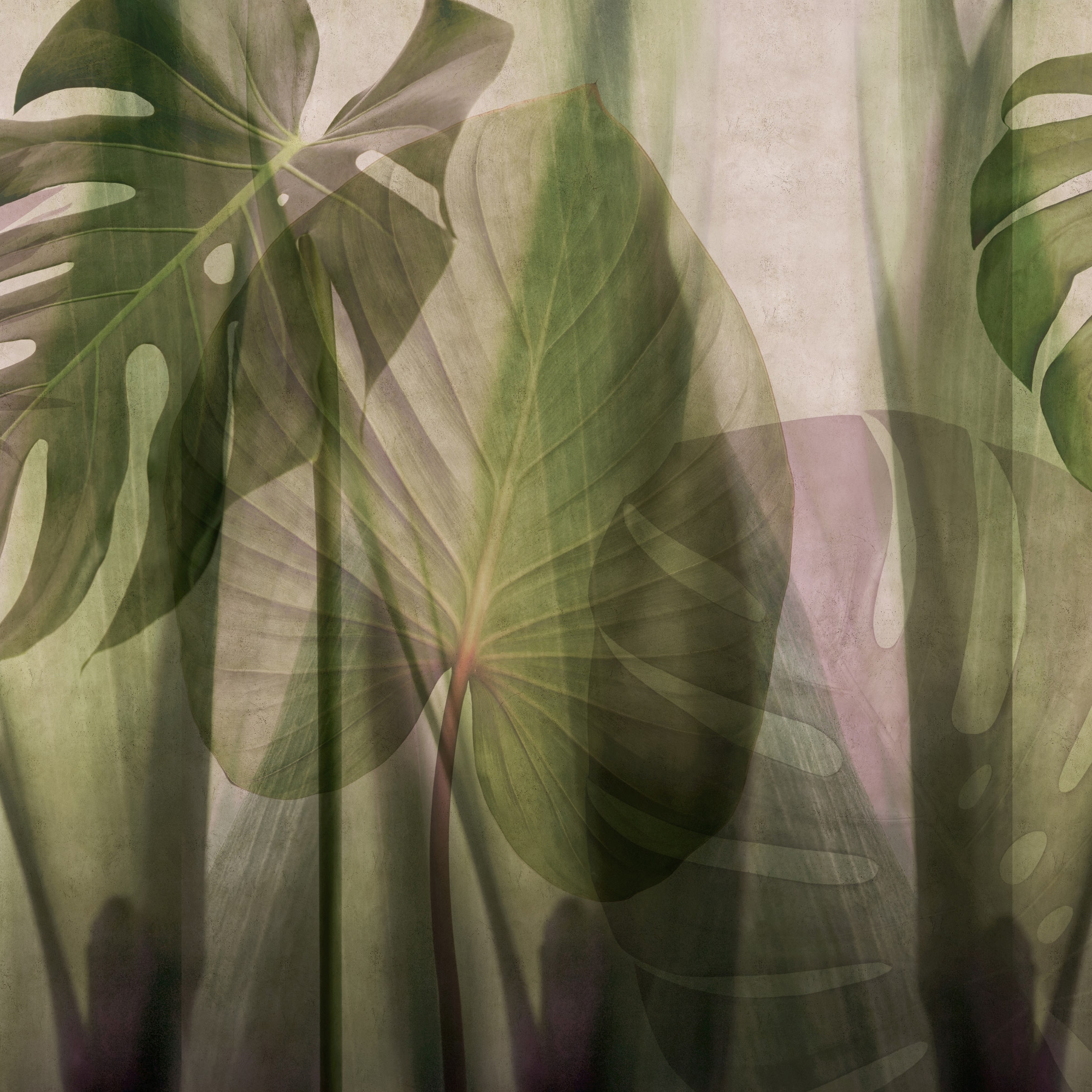 Equatorial Jungle