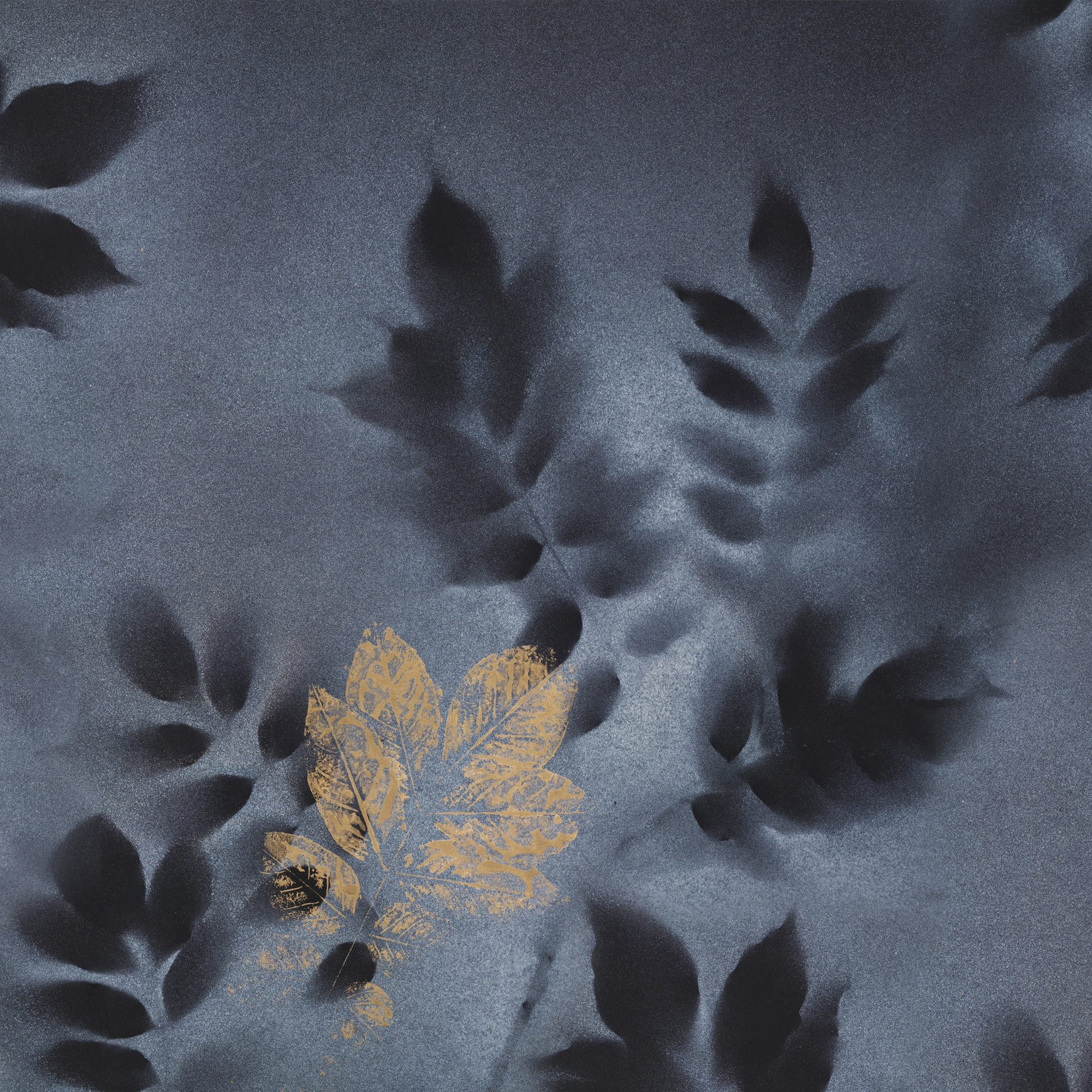 Produkt Vision des Herstellers GLAMORA anzeigen