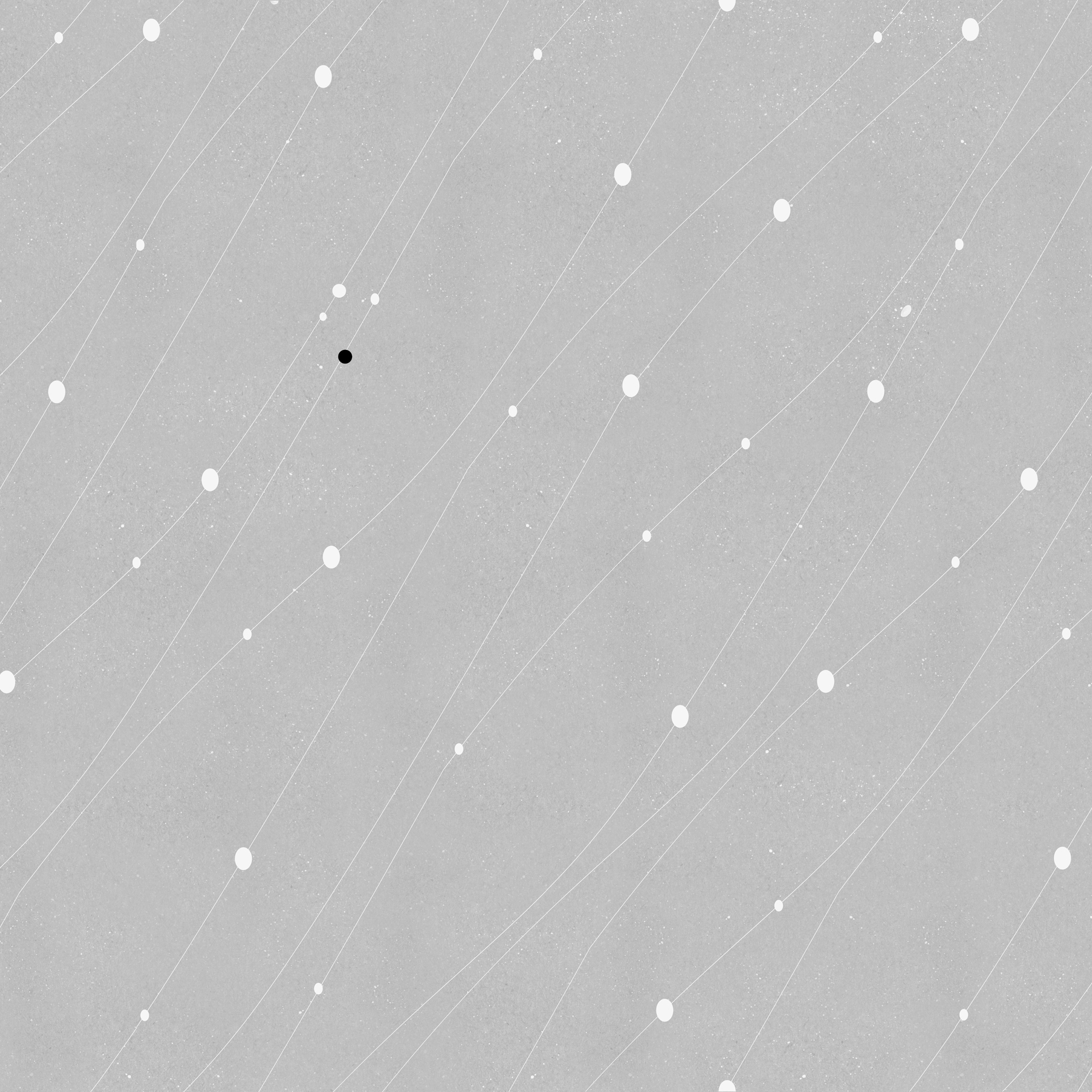 White Traces