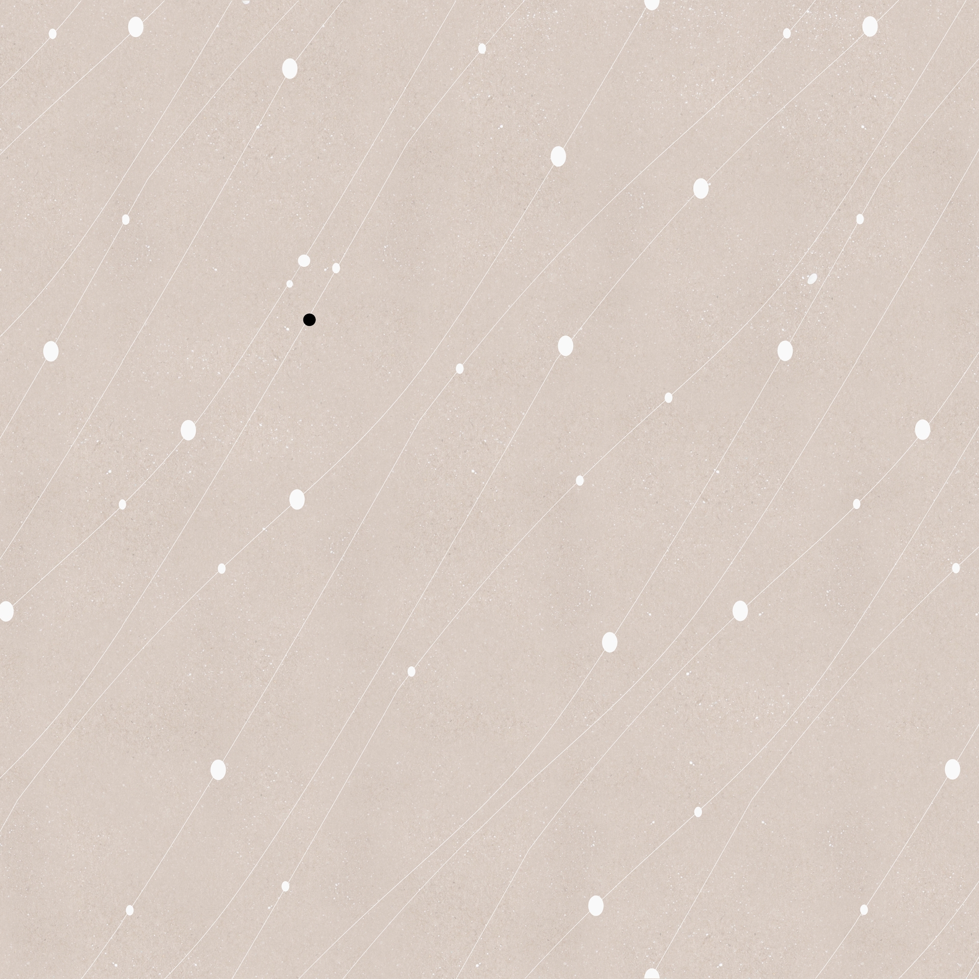 White Traces
