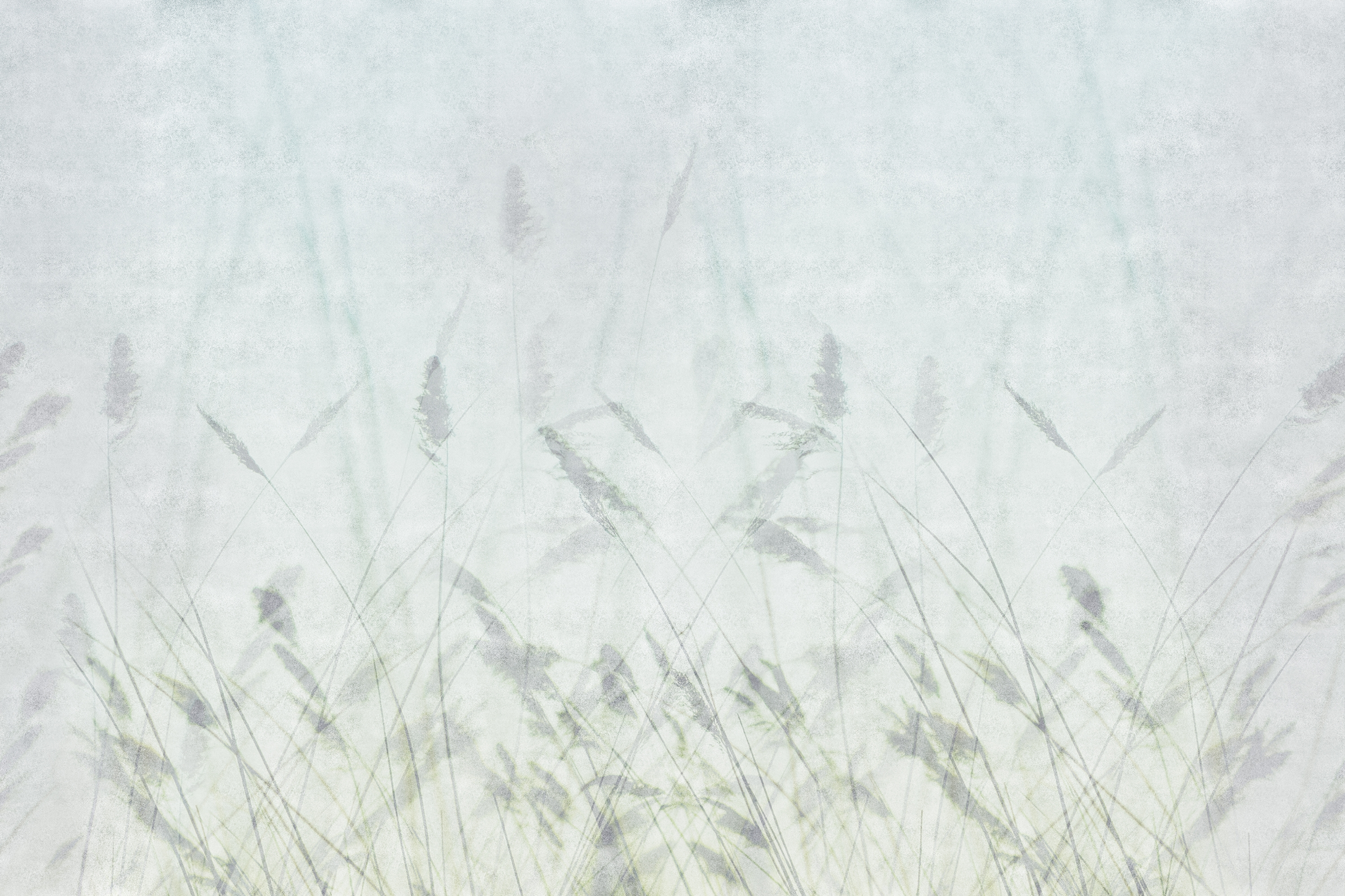 Display product Blur from manufacturer GLAMORA