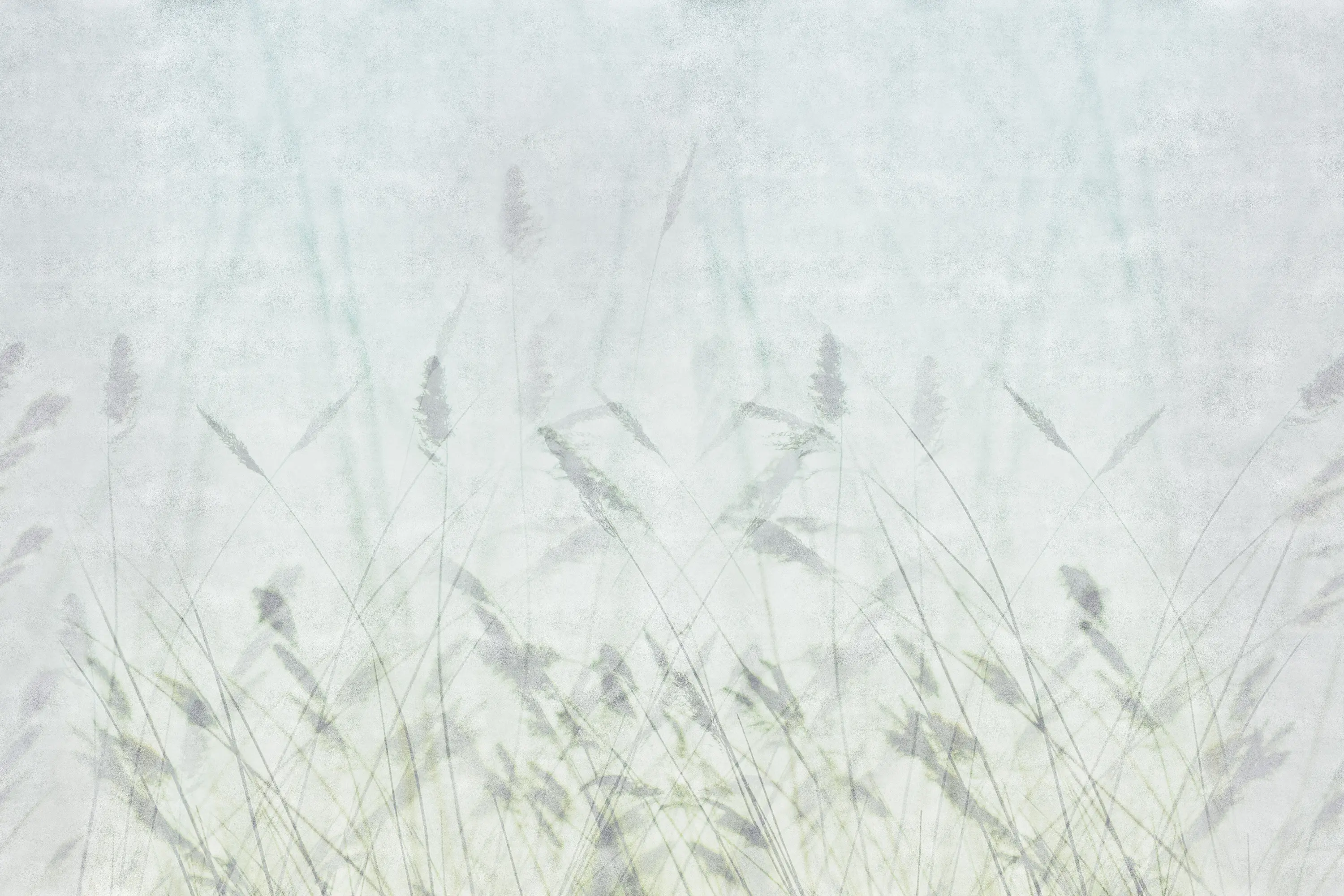 GLAMORA - Blur