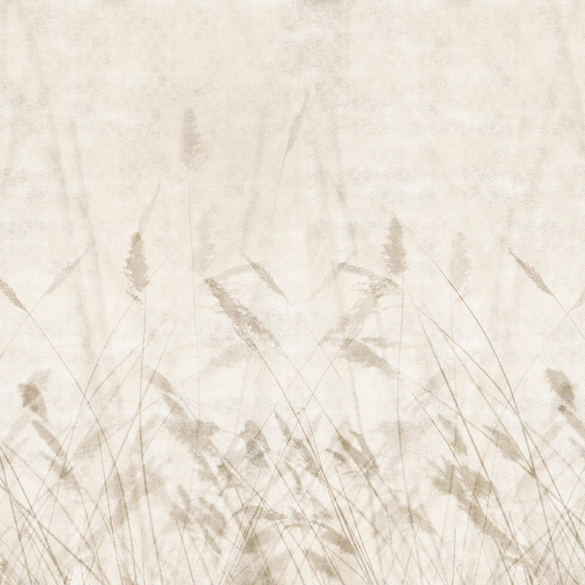 Blur