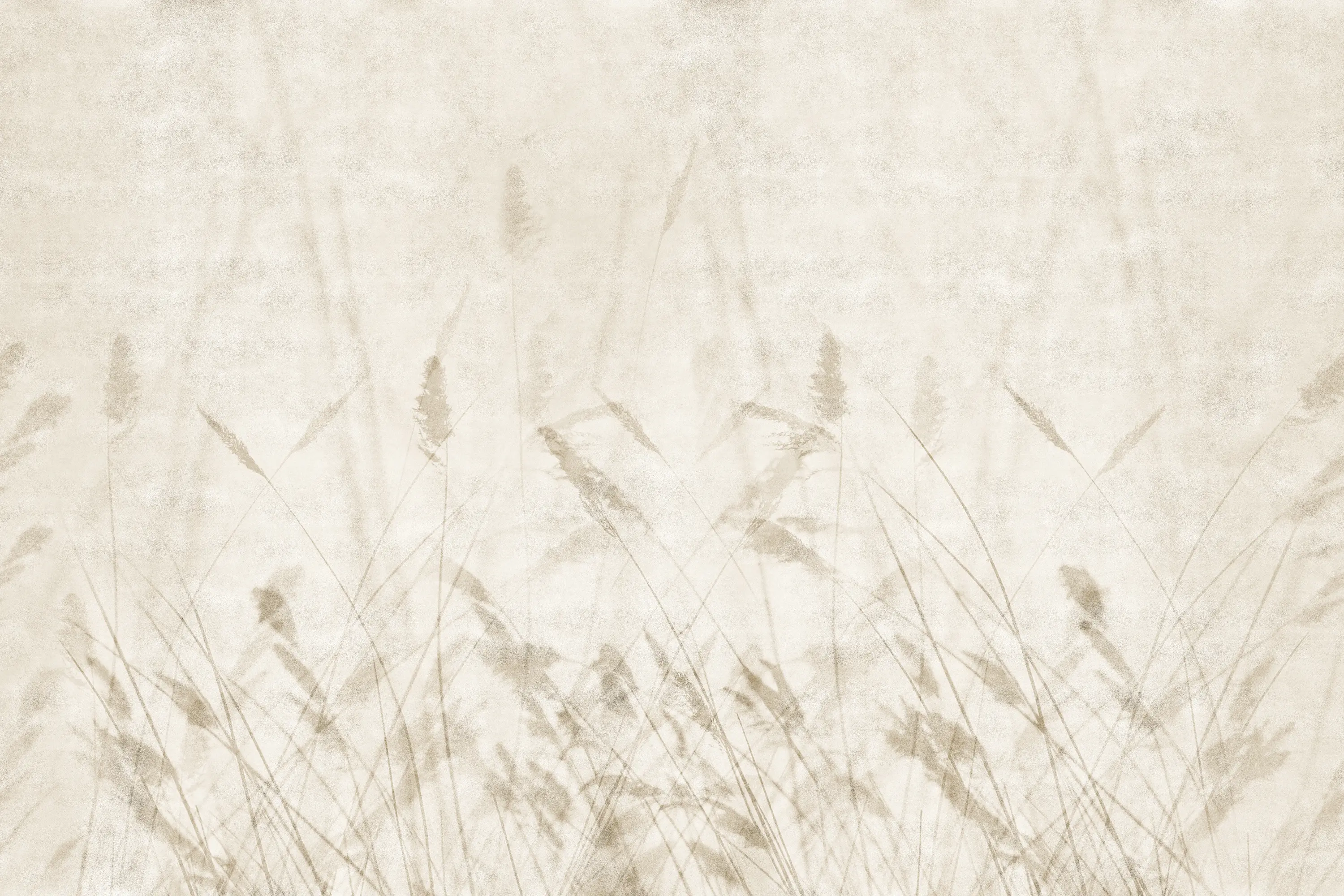 GLAMORA - Blur