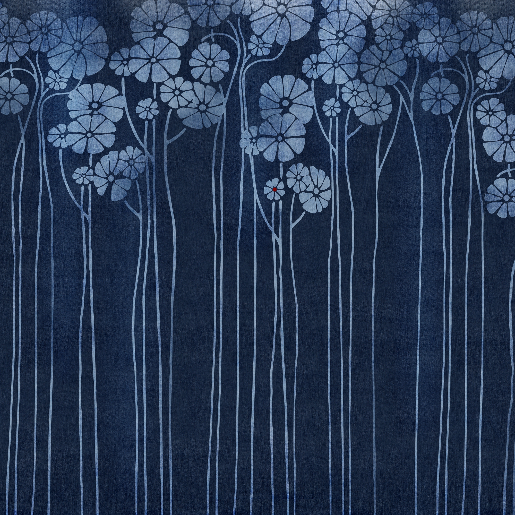 Daisy Blue