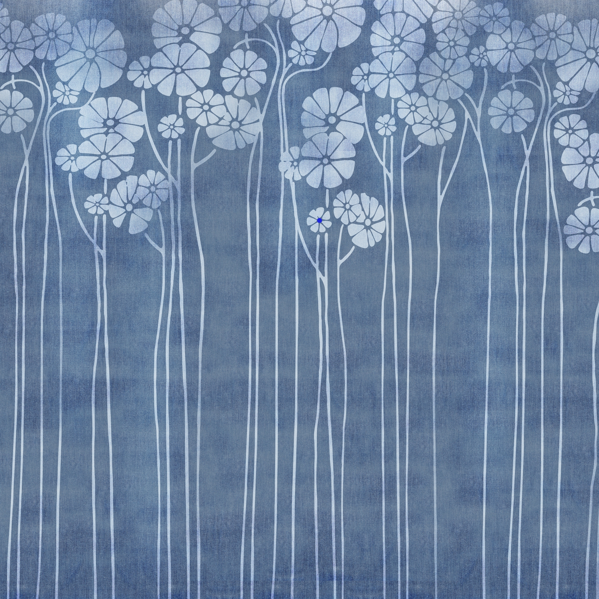 Daisy Blue