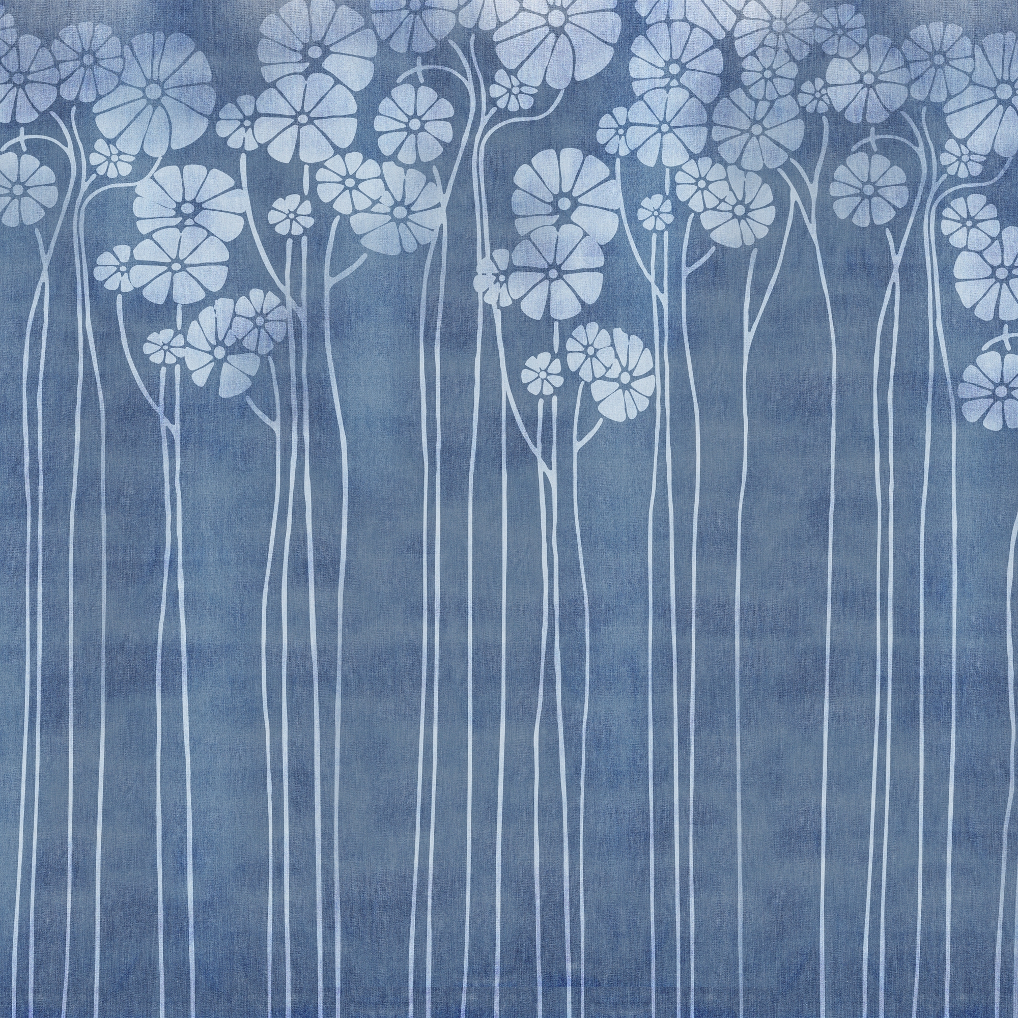 Daisy Blue