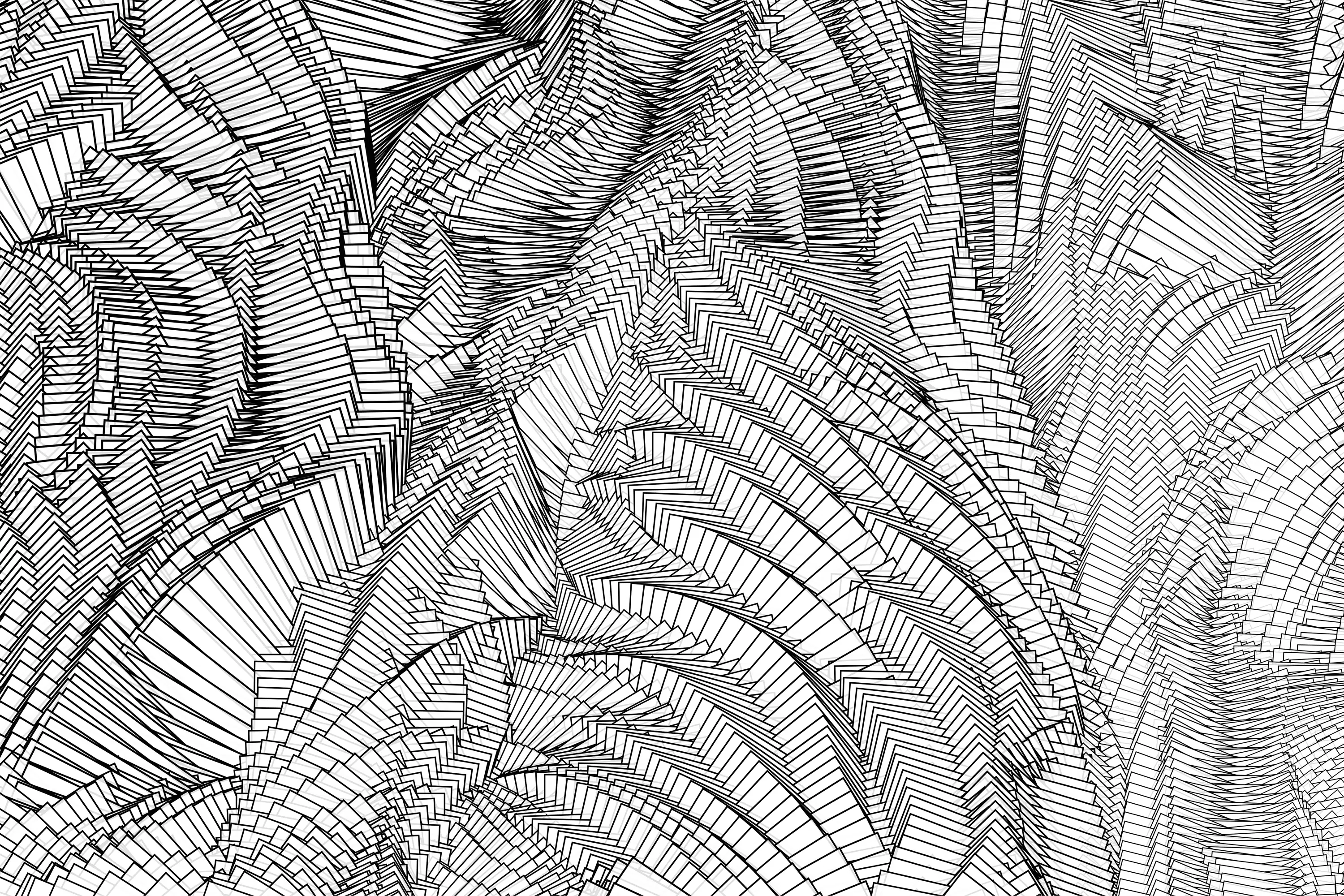 GLAMORA - Zebra