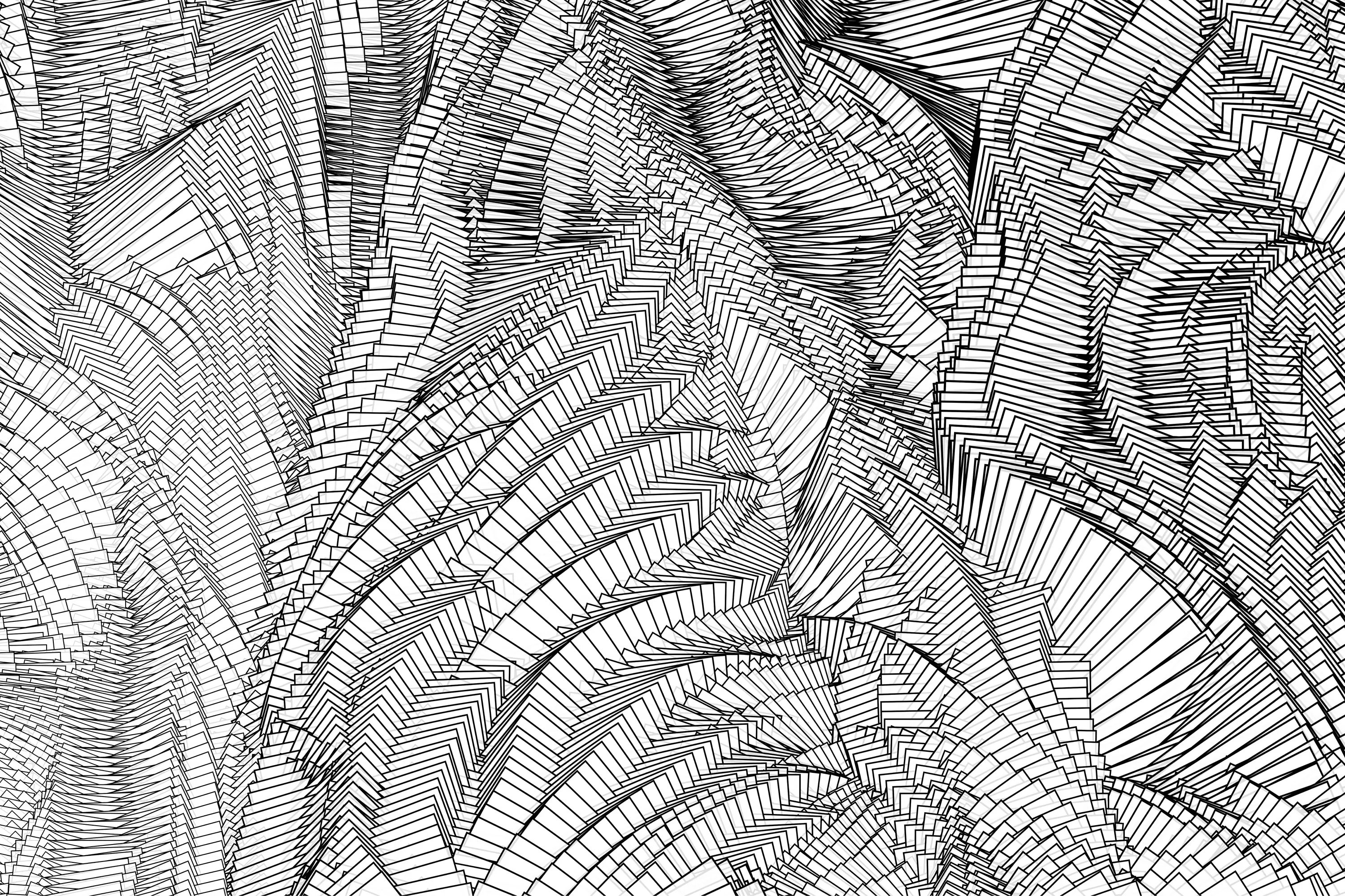 GLAMORA - Zebra