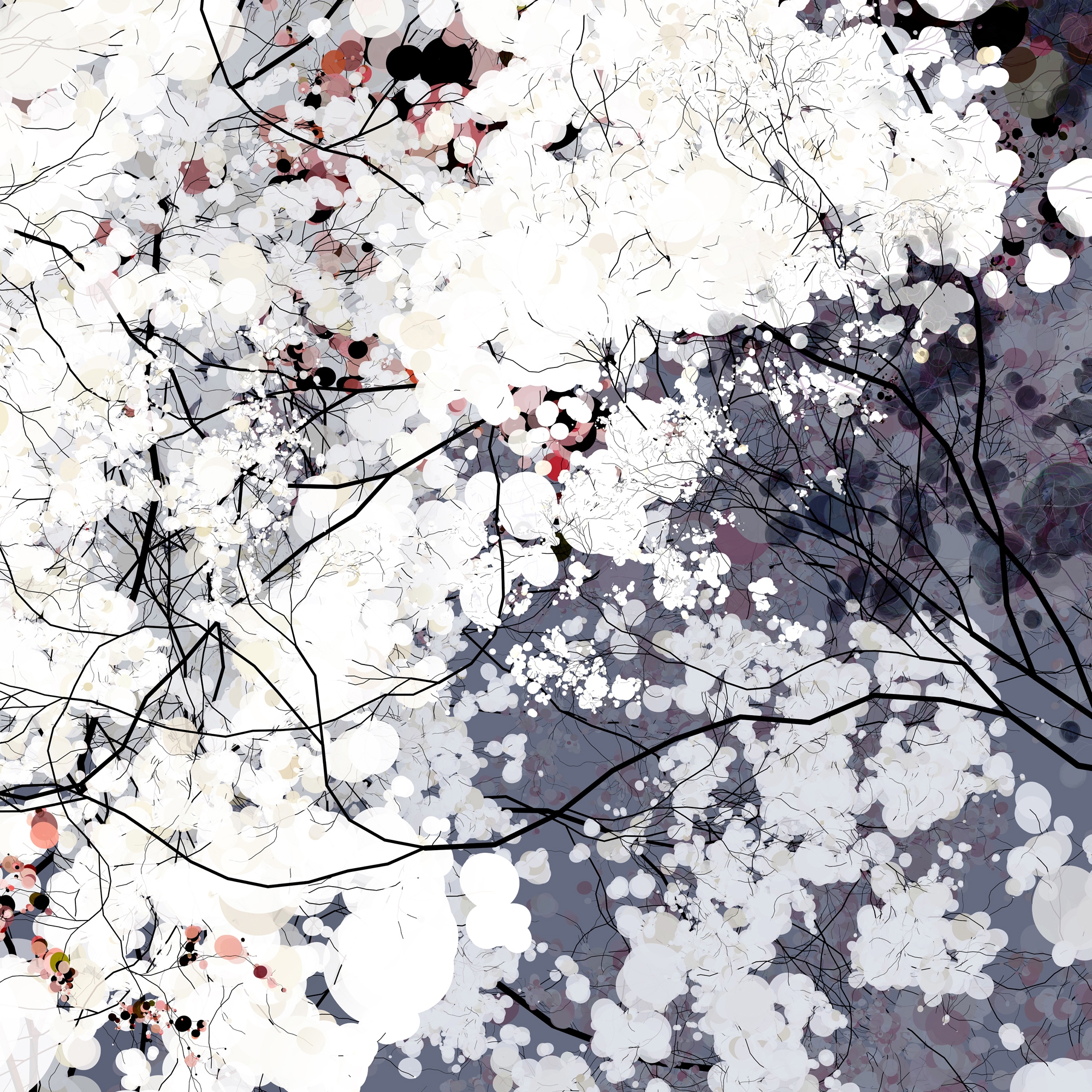 Vertoon produk Clouds van vervaardiger GLAMORA