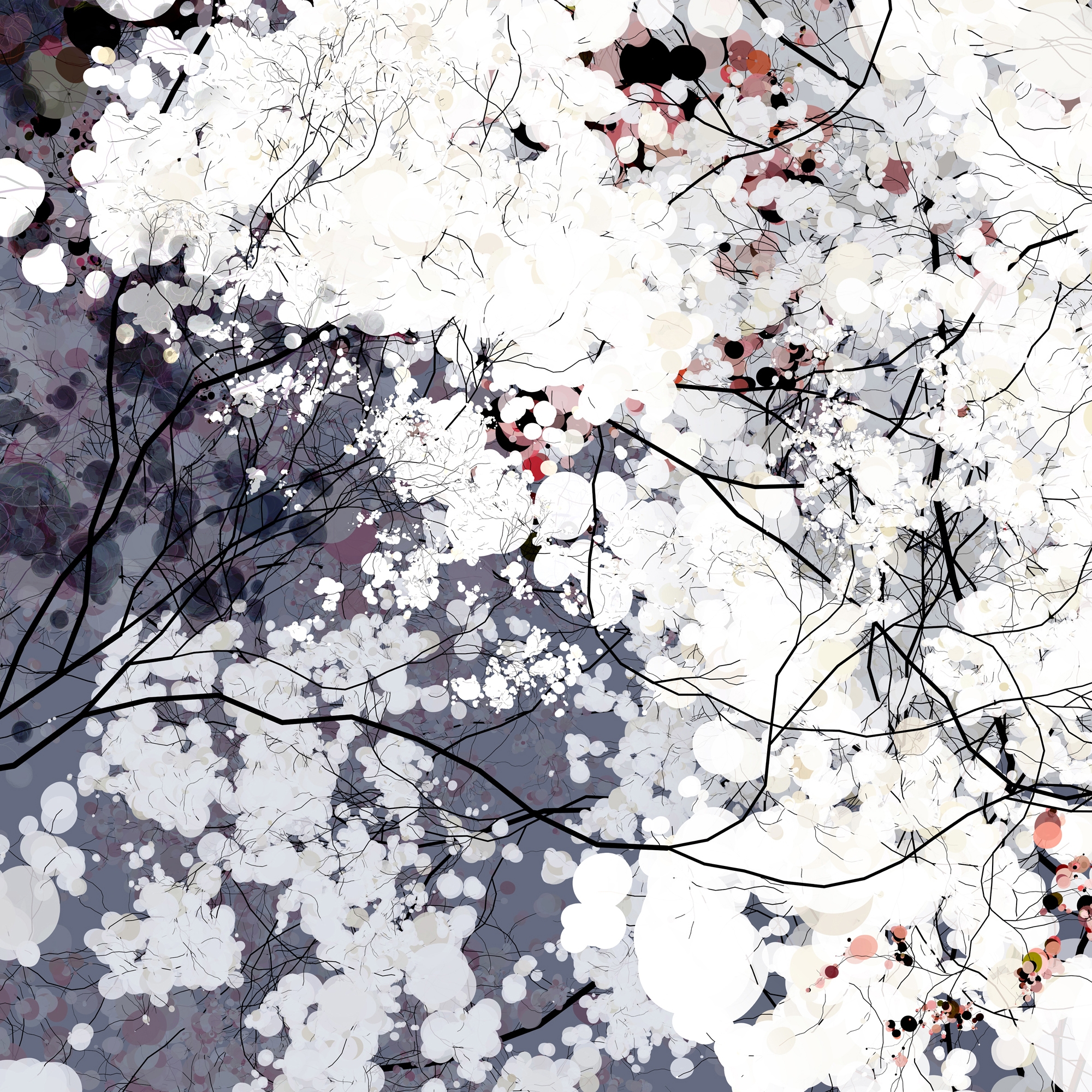 Vertoon produk Clouds van vervaardiger GLAMORA