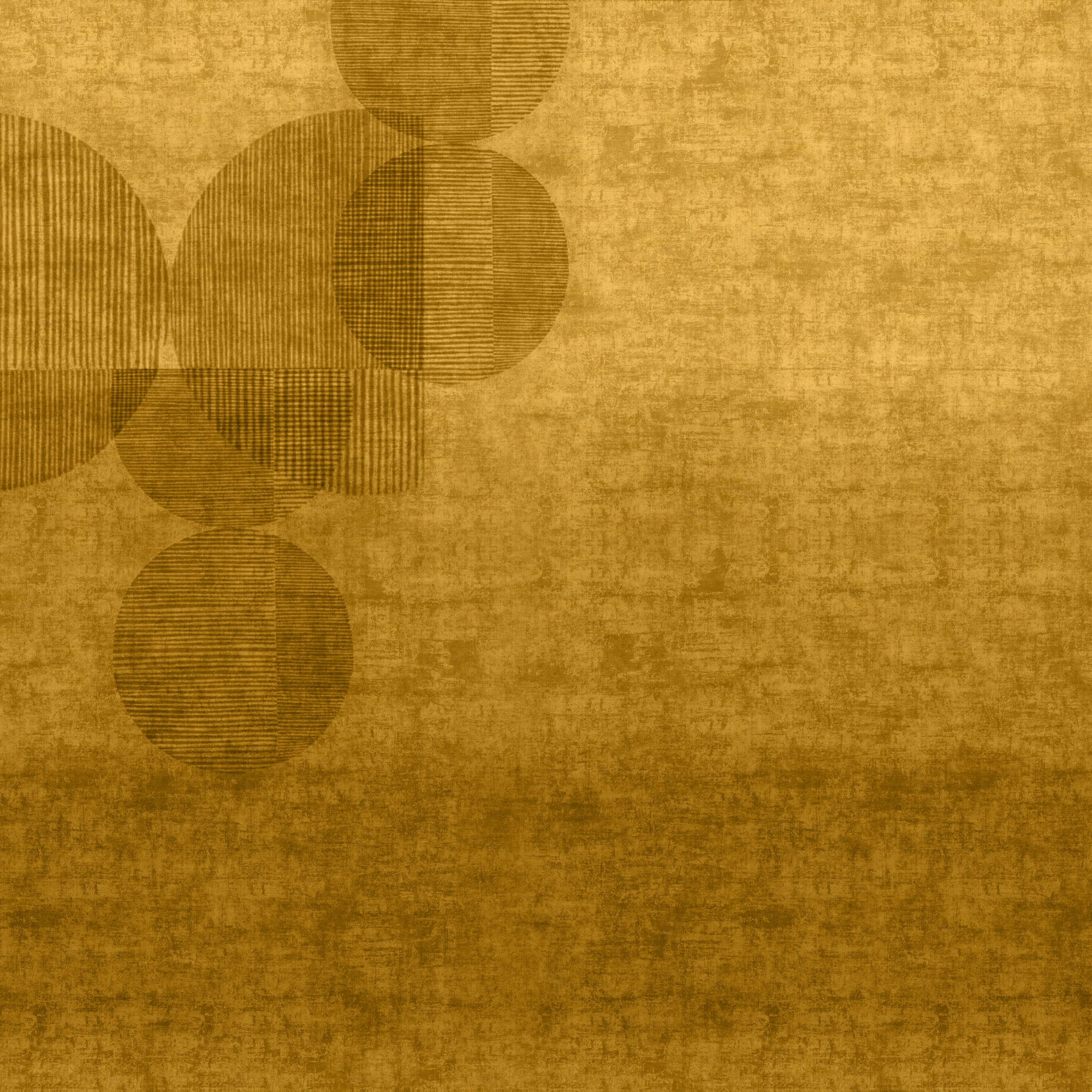 Disc