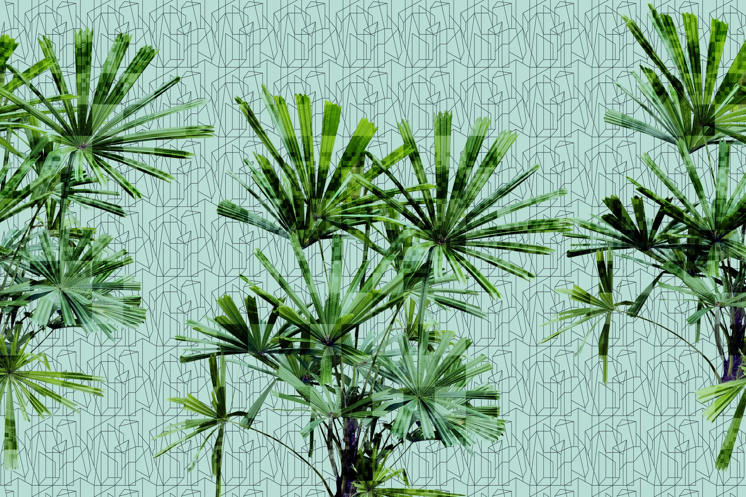 GLAMORA - Cubic Plant