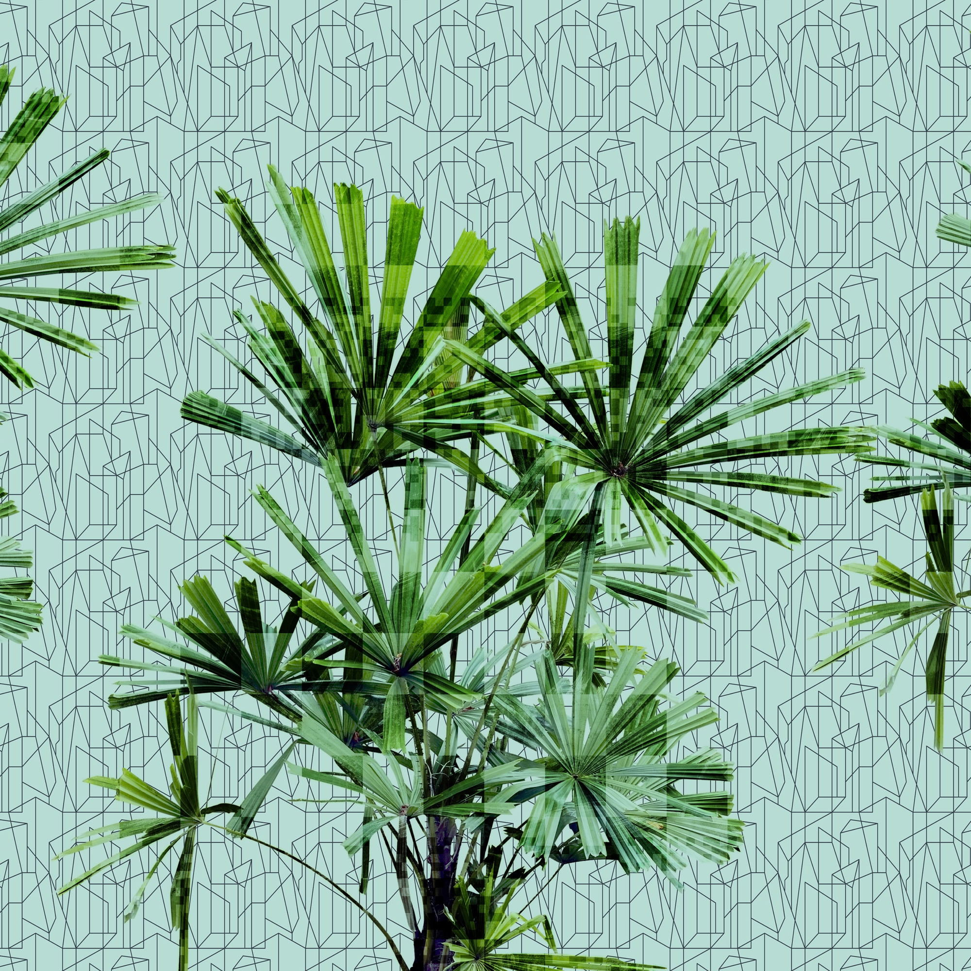 Cubic Plant
