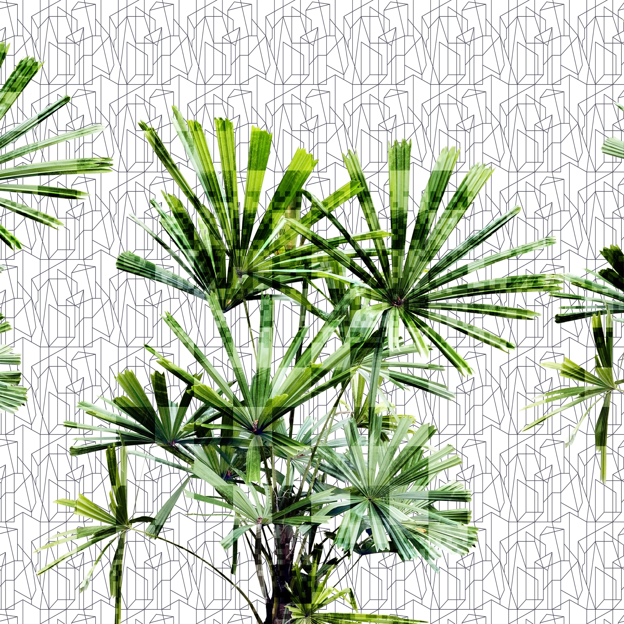 Cubic Plant