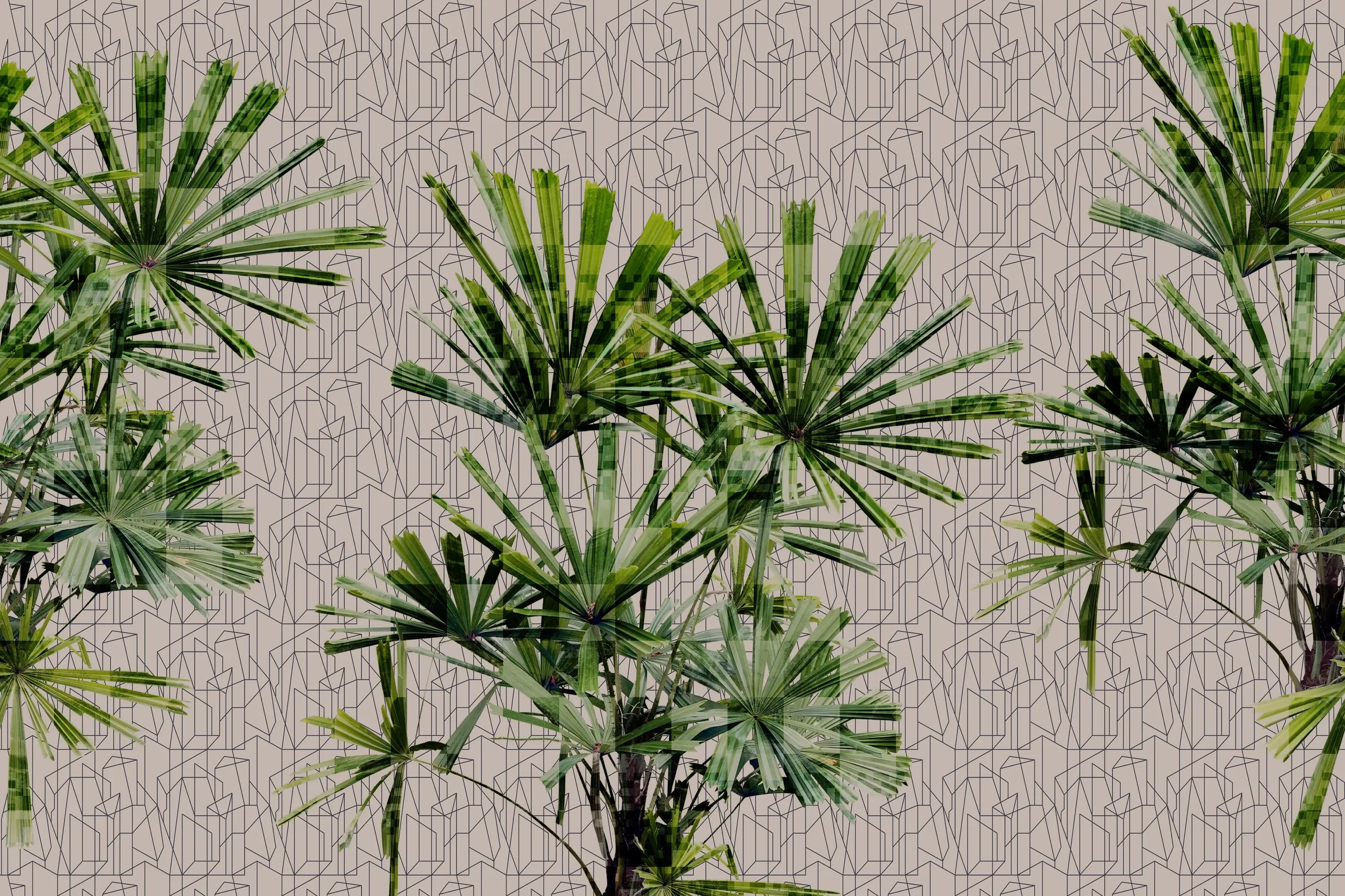 GLAMORA - Cubic Plant
