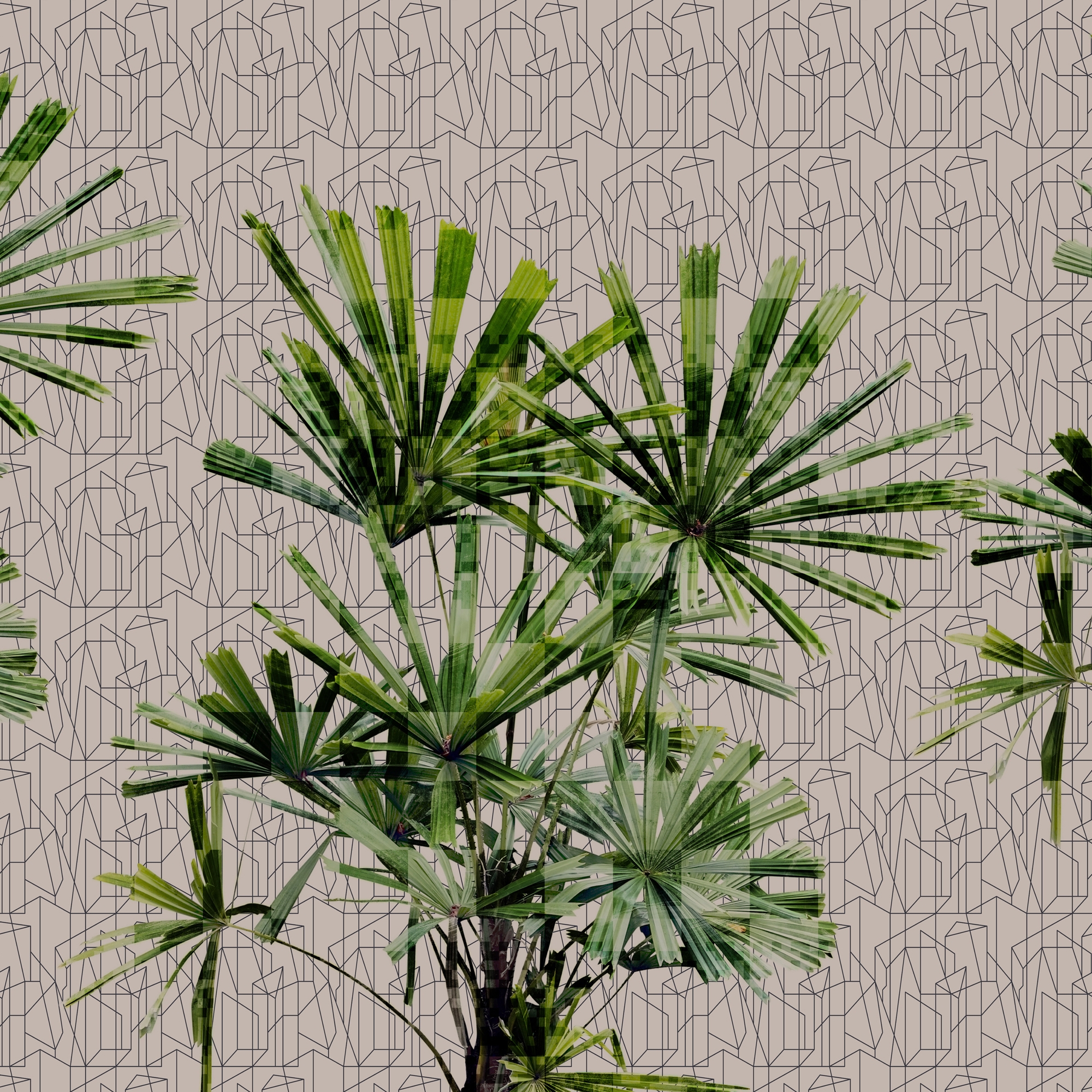 Cubic Plant