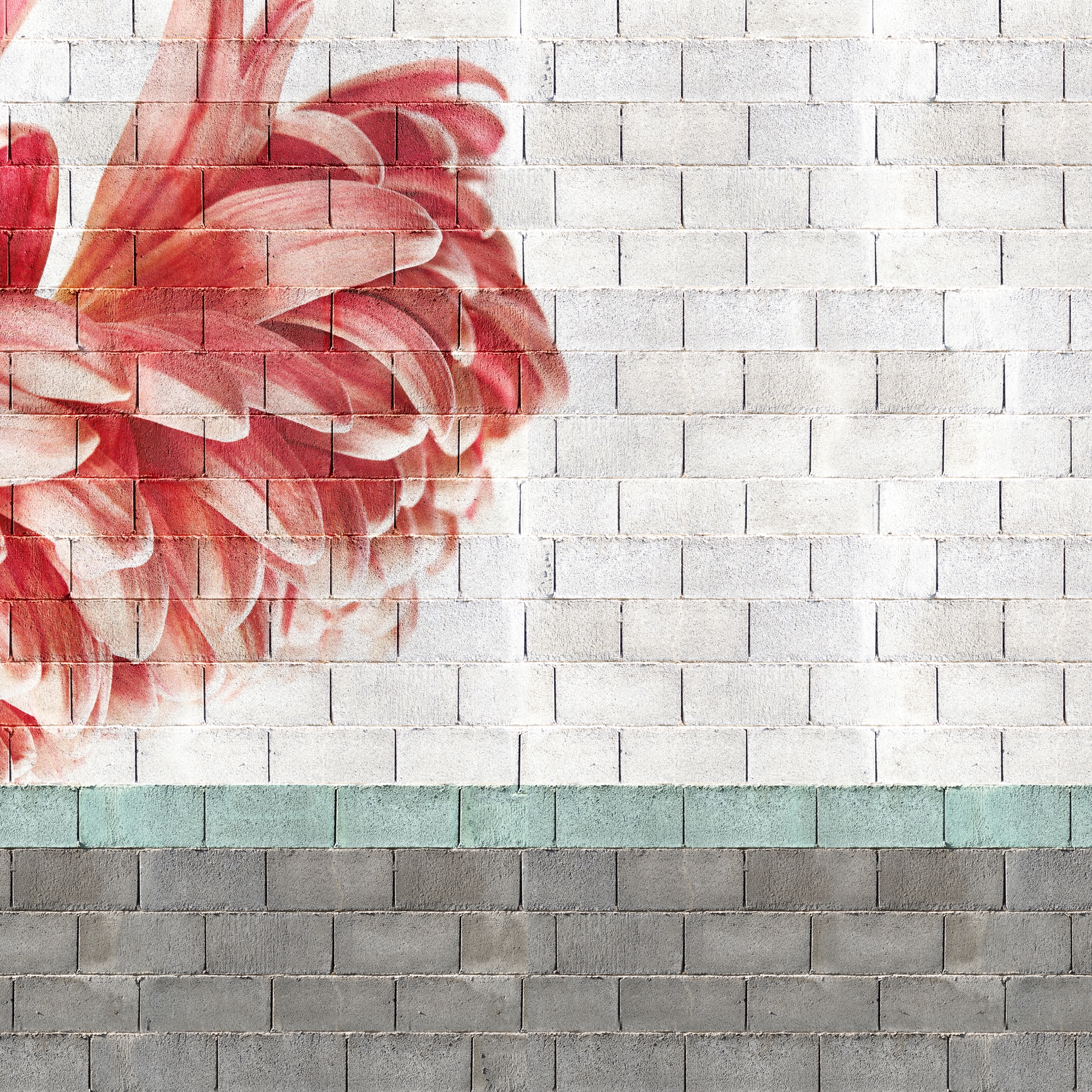 Afficher le produit Chalk du fabricant GLAMORA