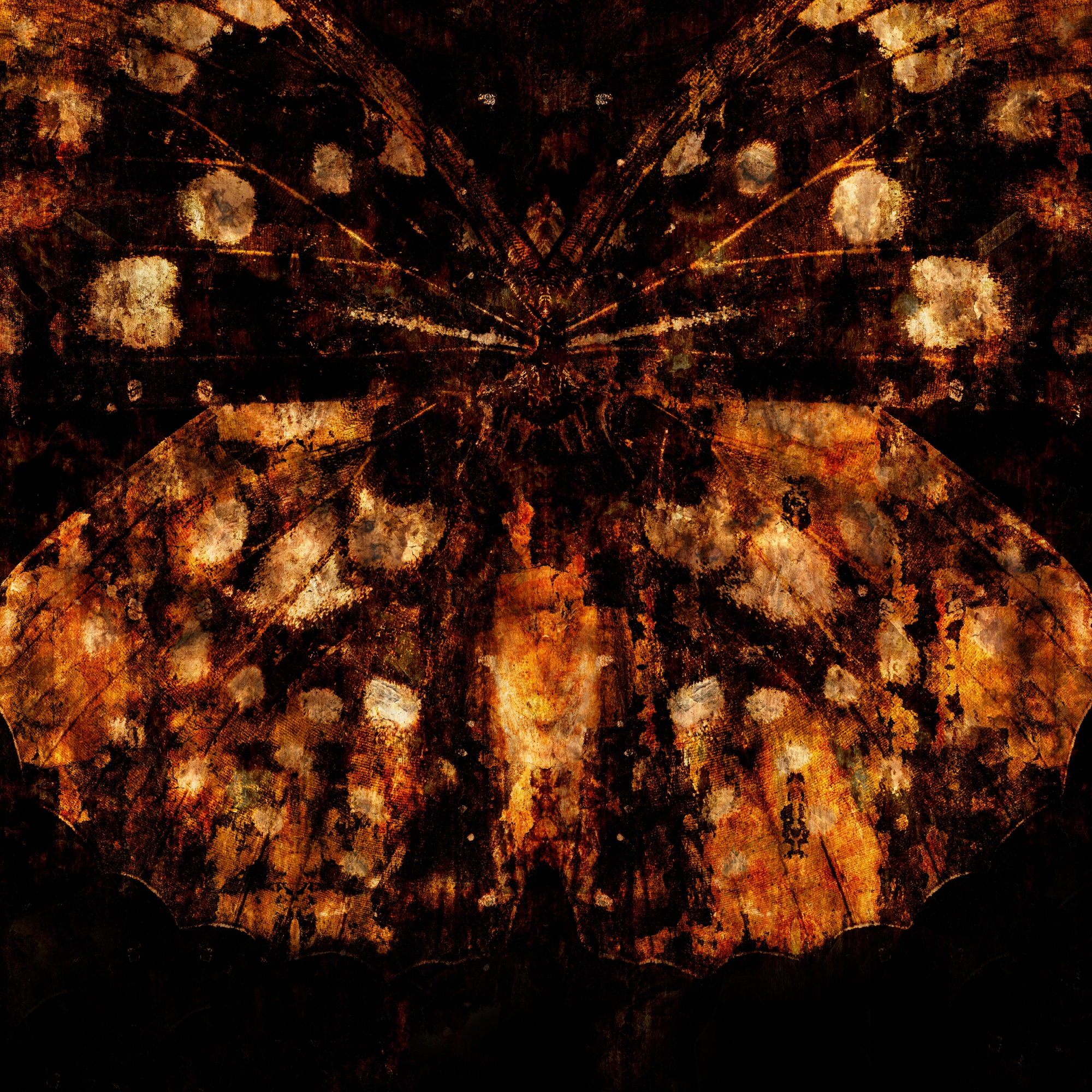 Vertoon produk Belladonna van vervaardiger GLAMORA