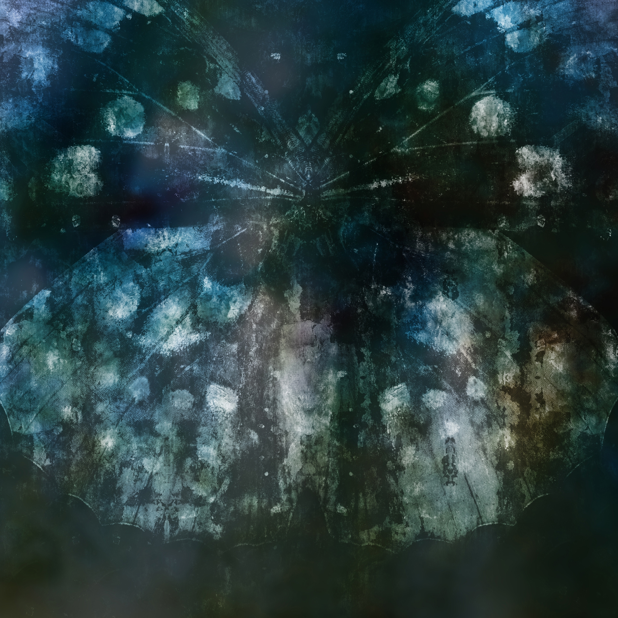 Belladonna