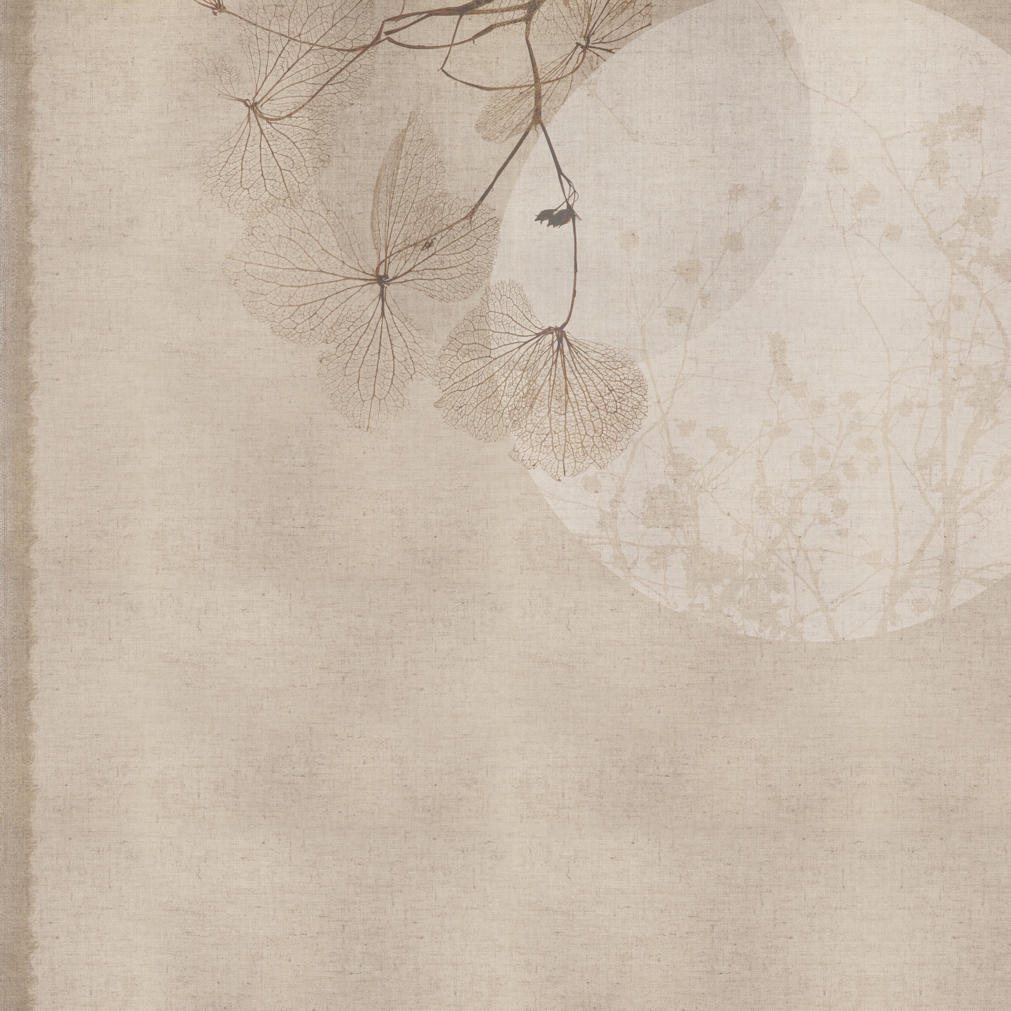 Zen