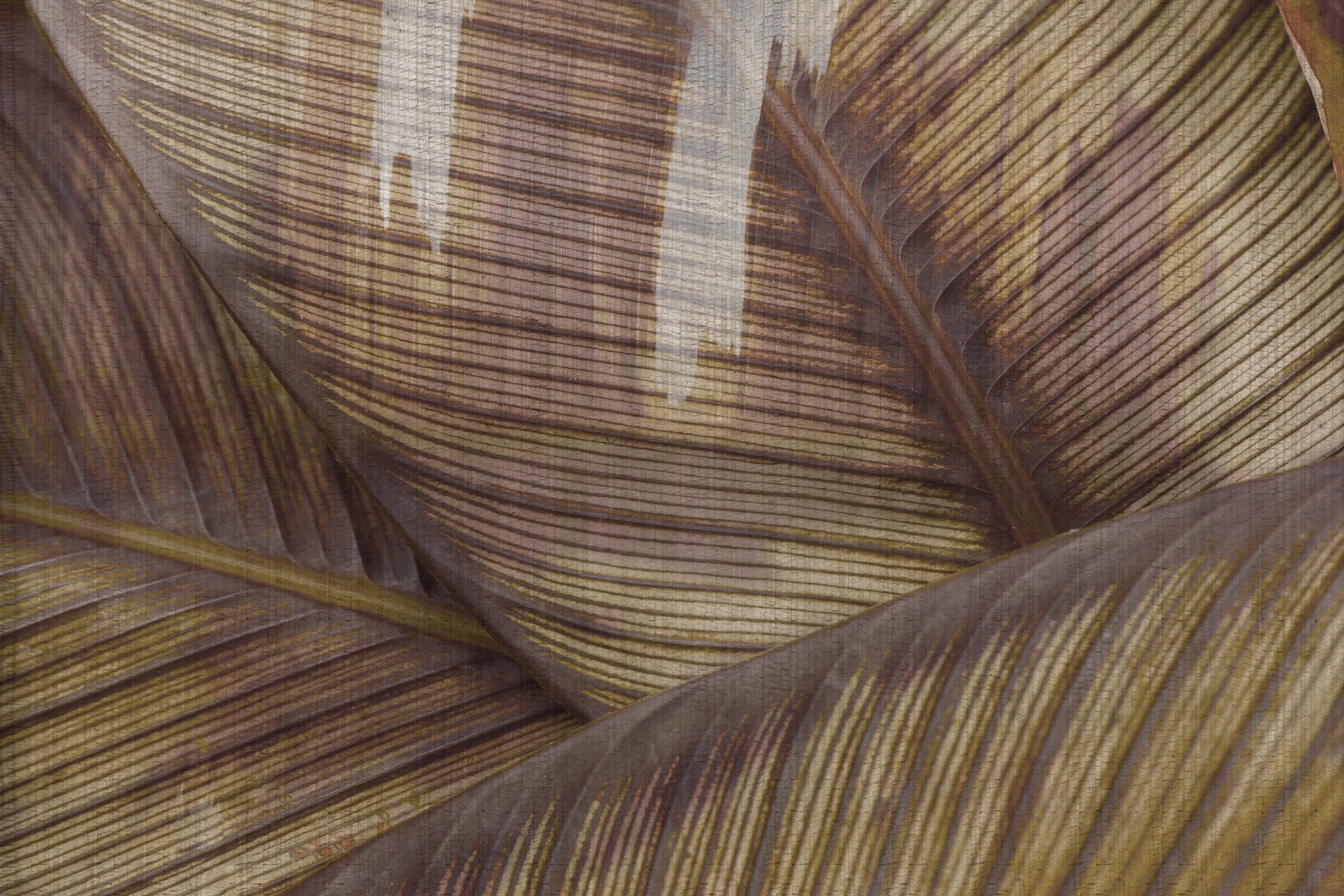 GLAMORA - Leaf