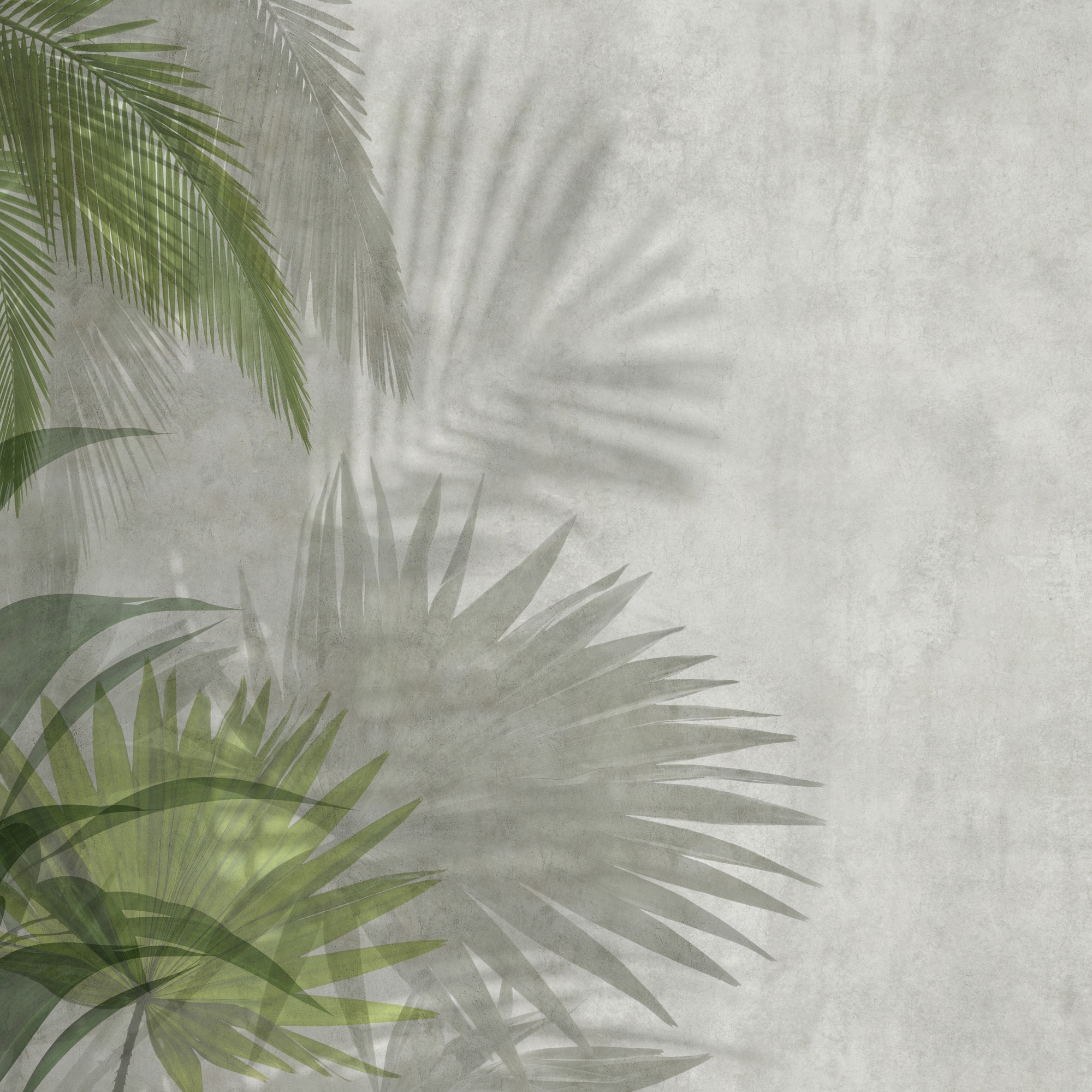 Produkt Exotic des Herstellers GLAMORA anzeigen