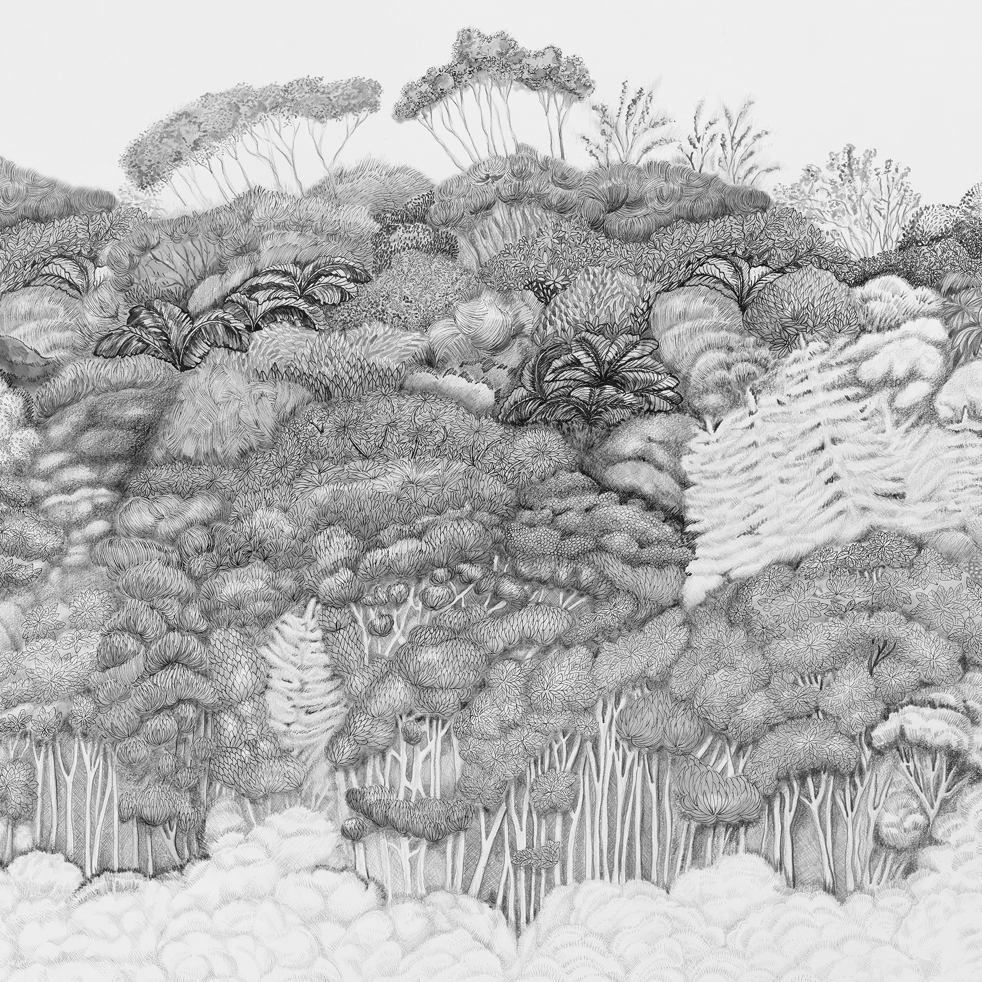 Fleur Des Bois