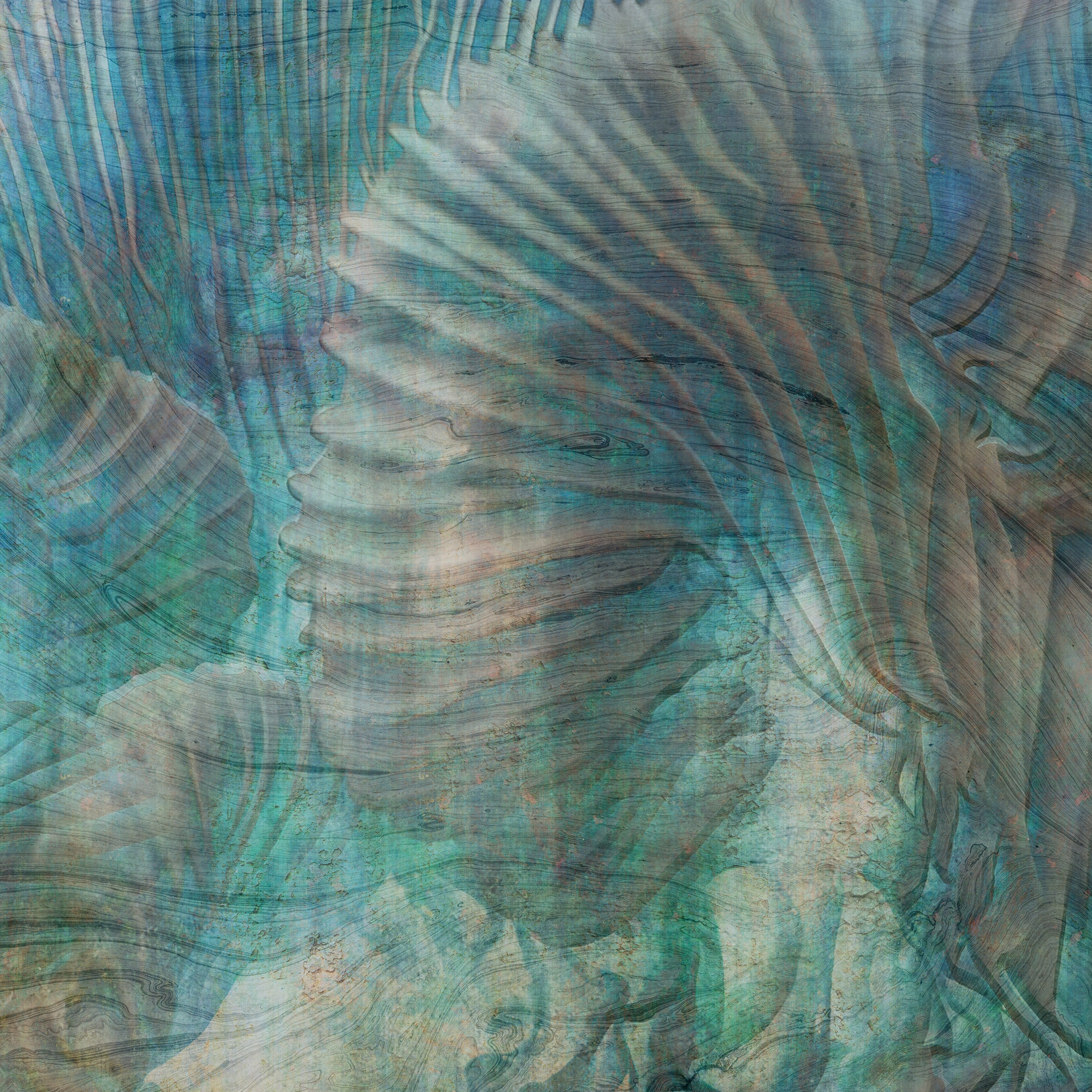 Pulse