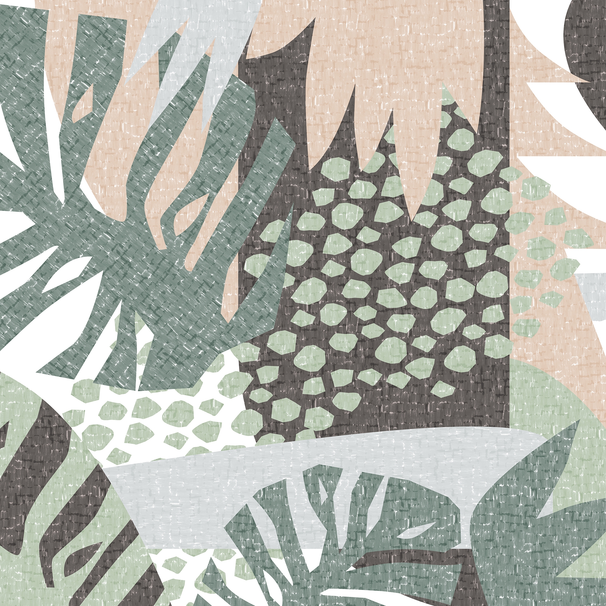 Shapes