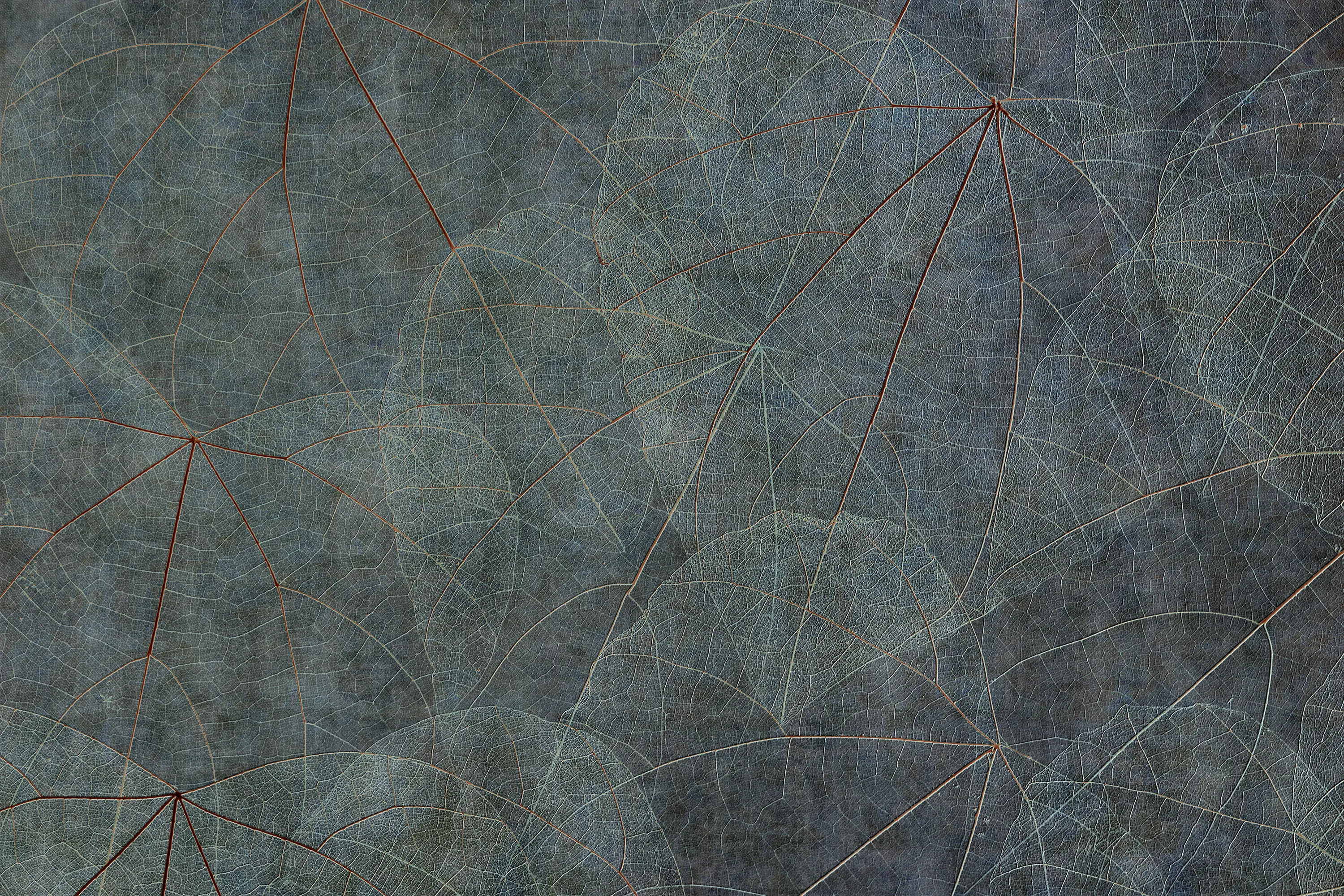 GLAMORA - Equinox