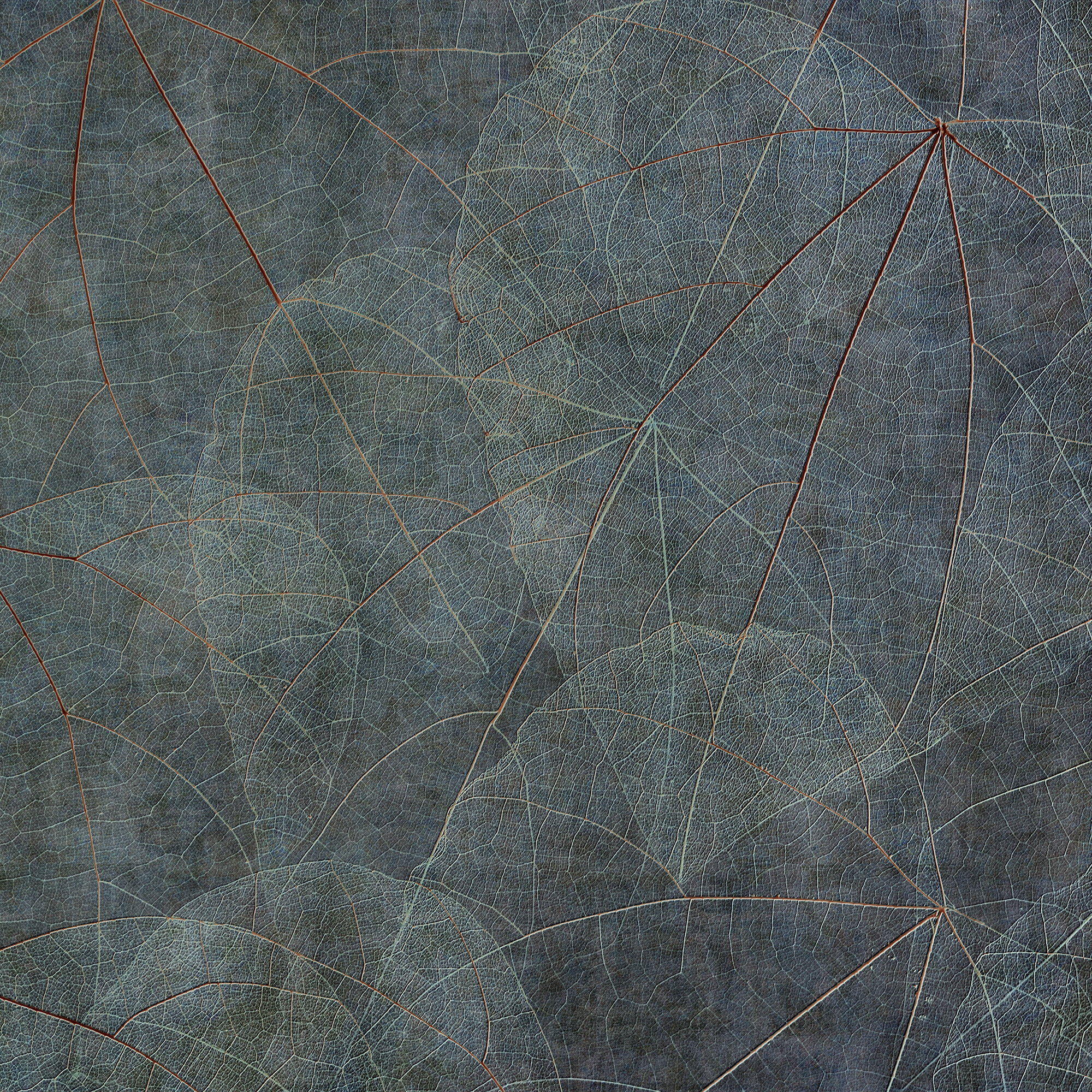Equinox