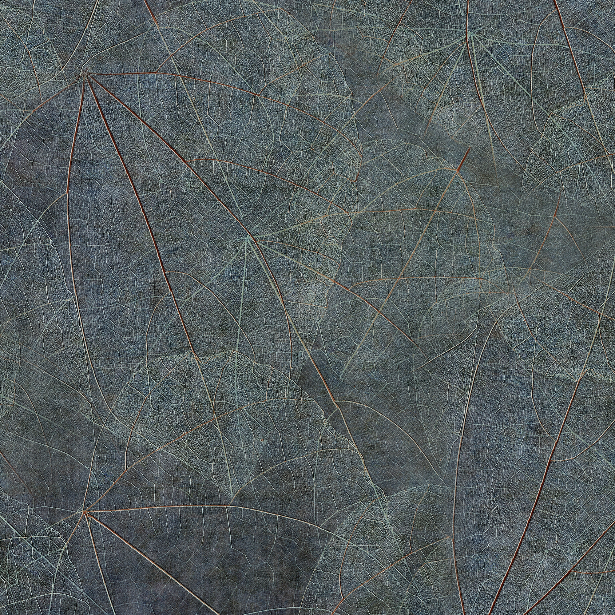 Equinox