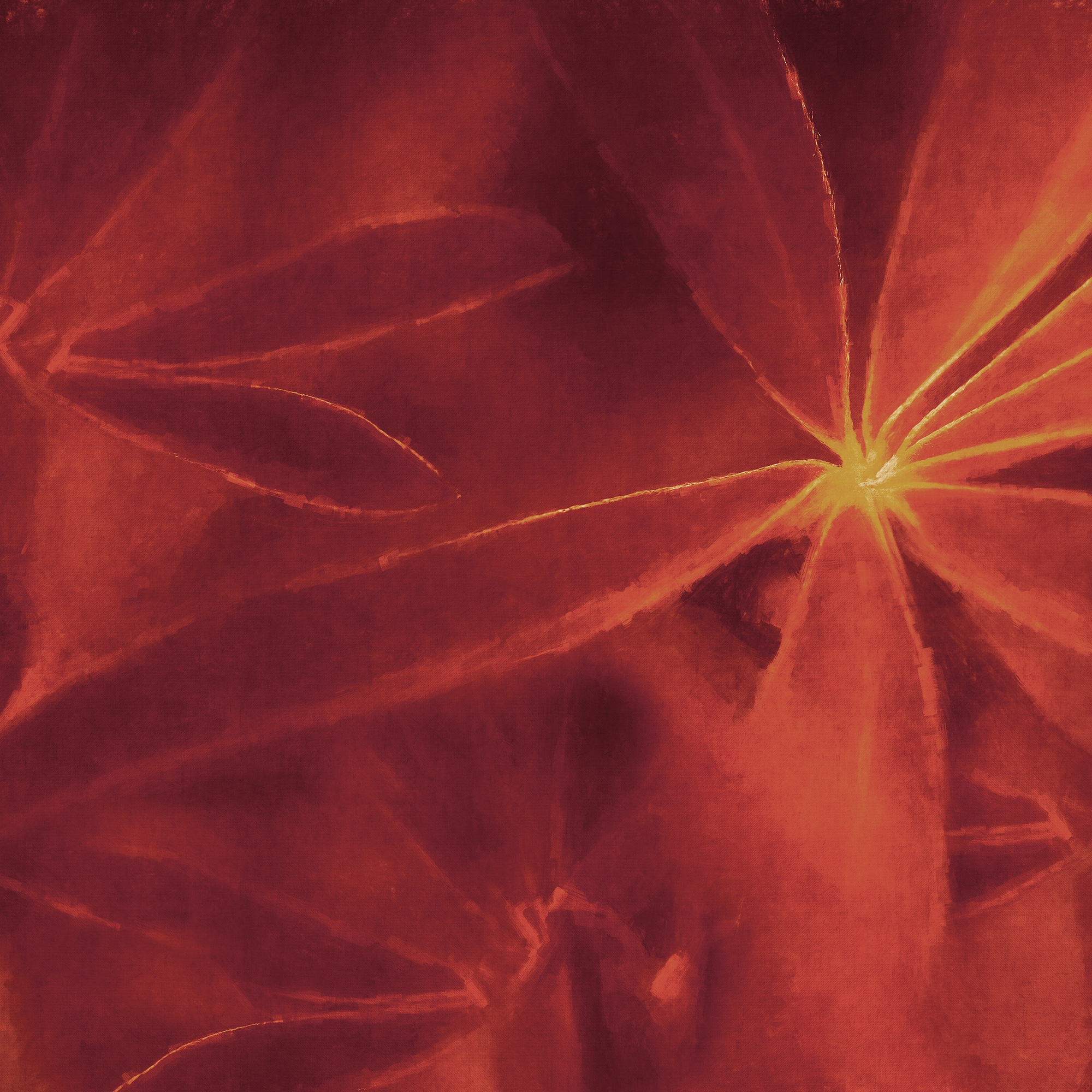 Afficher le produit Nocturnal du fabricant GLAMORA