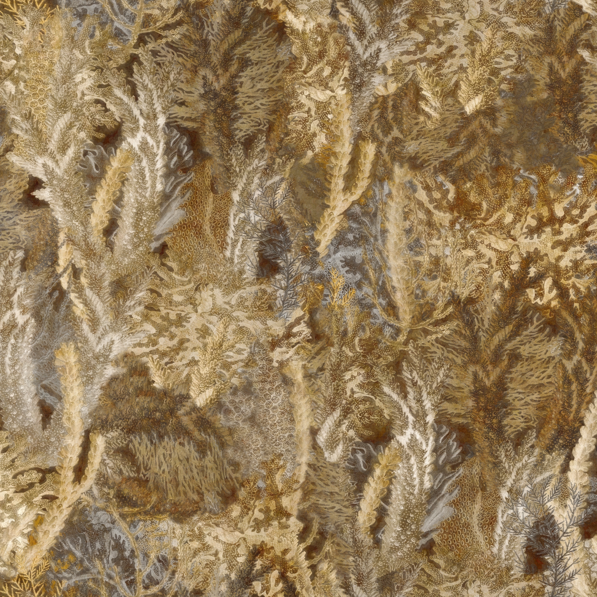 Coral