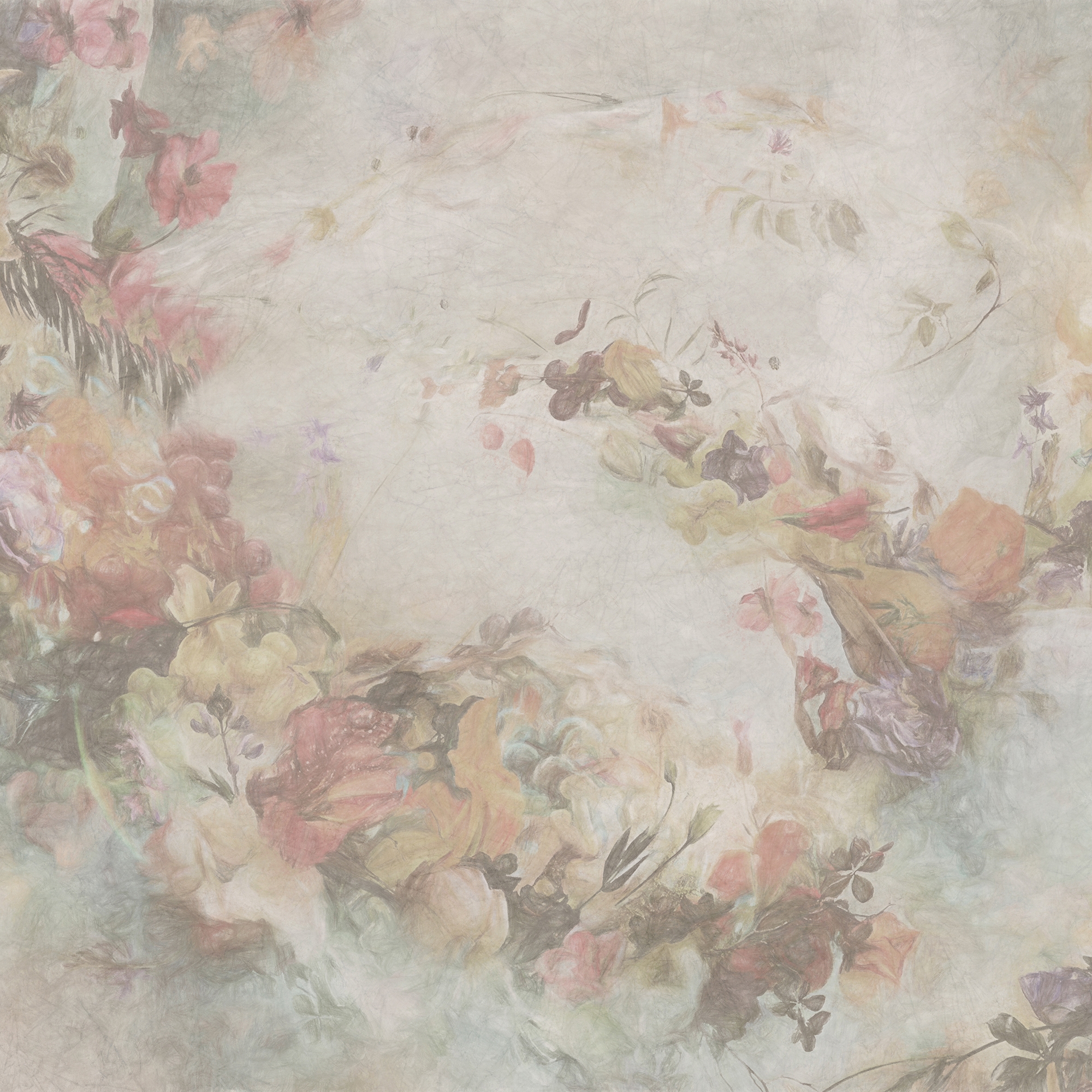 Bloom