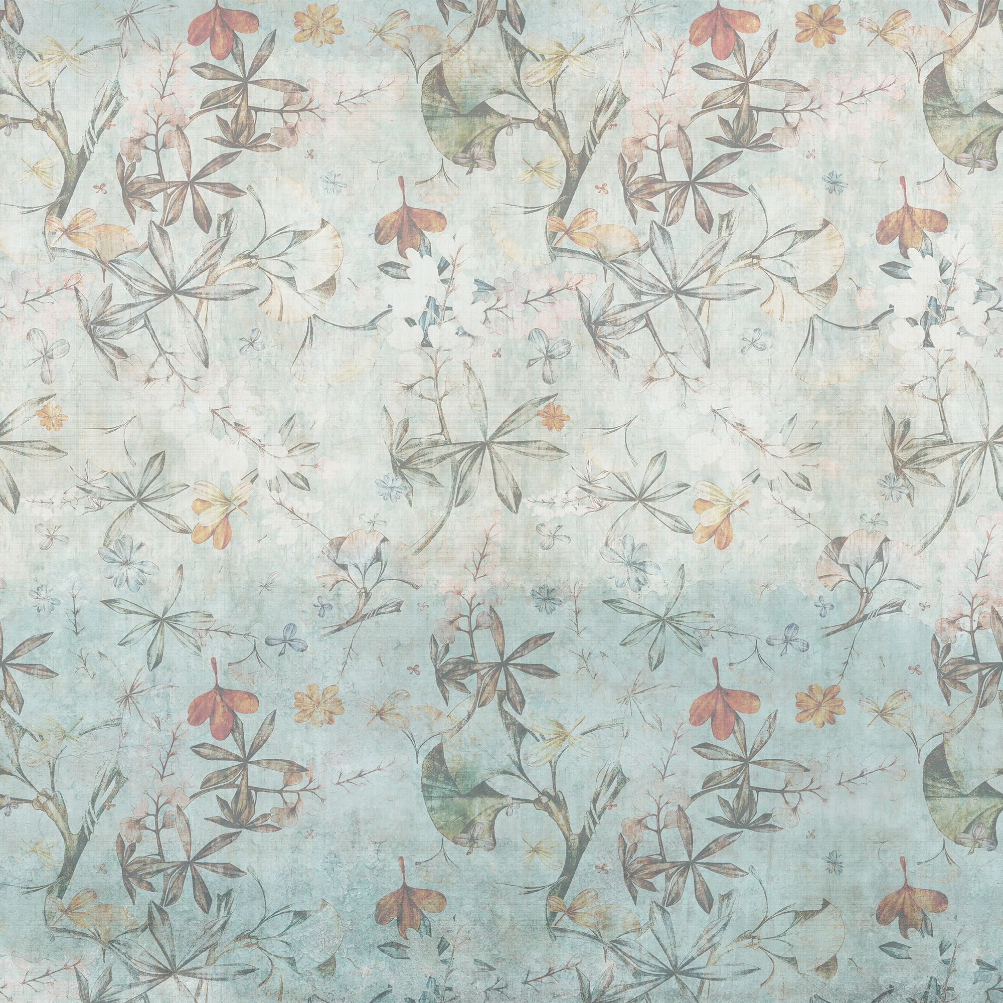 Flora