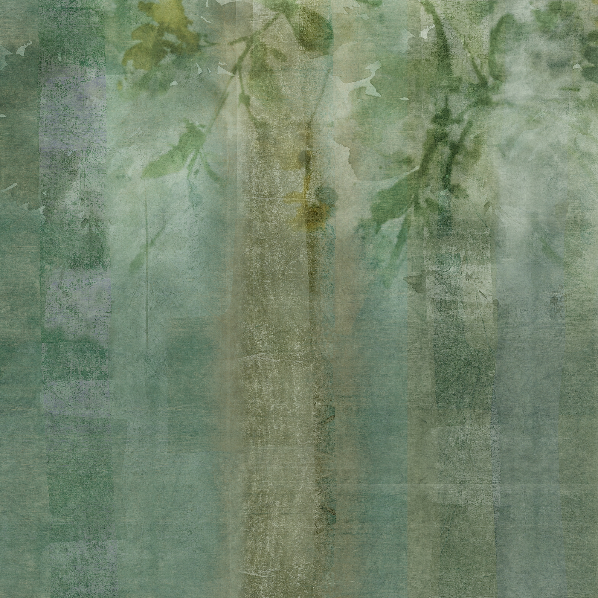 Sempervirens
